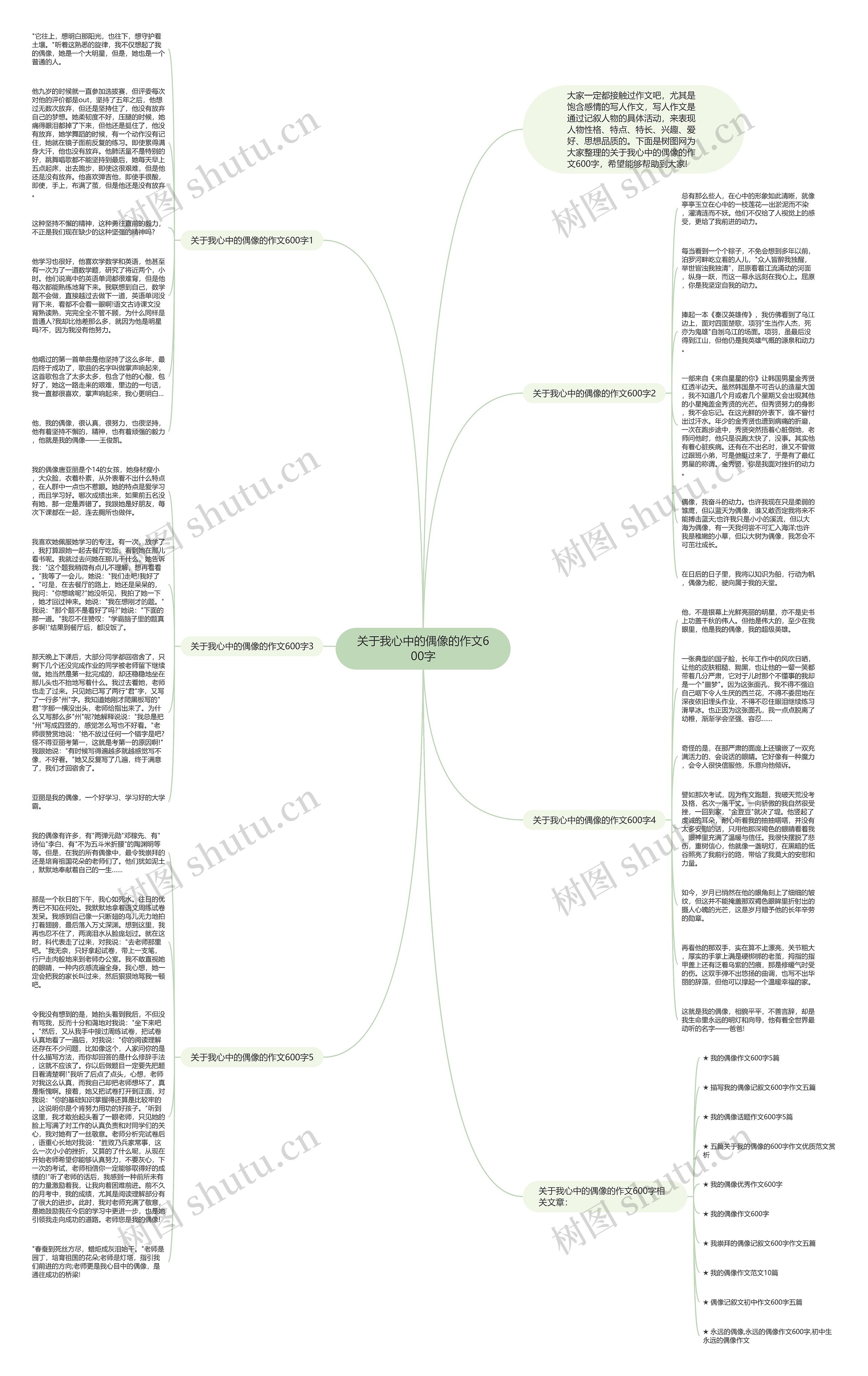 关于我心中的偶像的作文600字