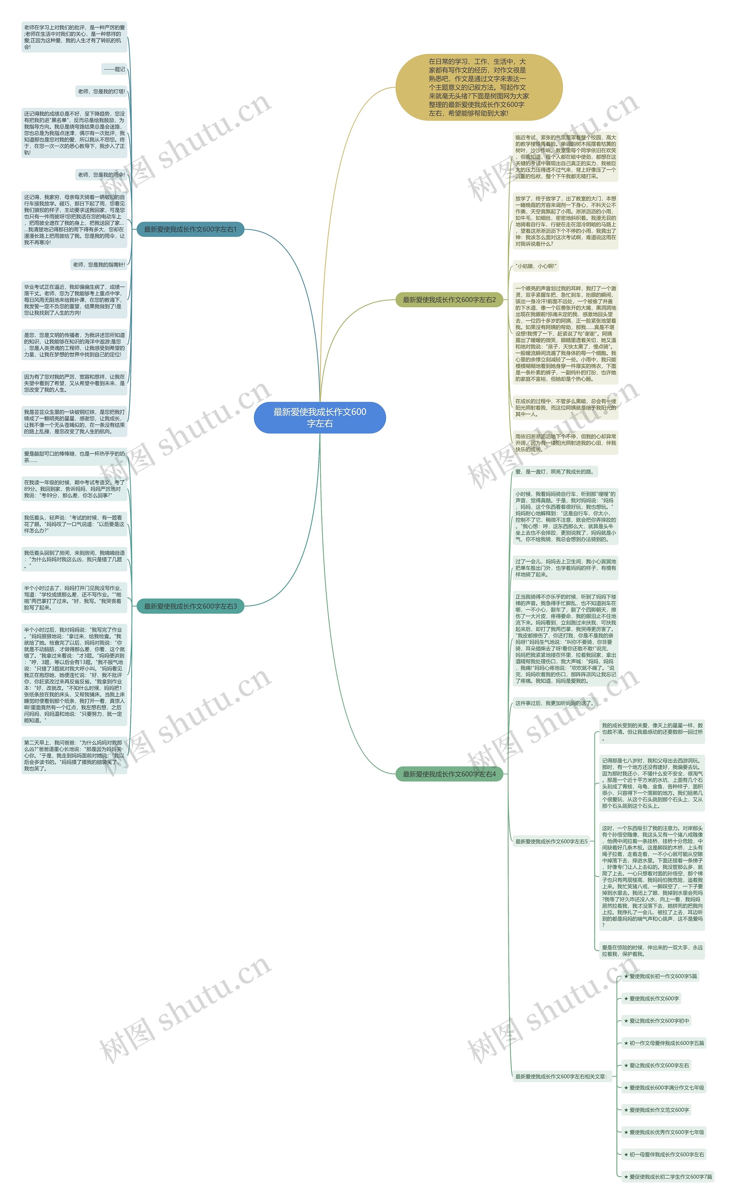 最新爱使我成长作文600字左右思维导图