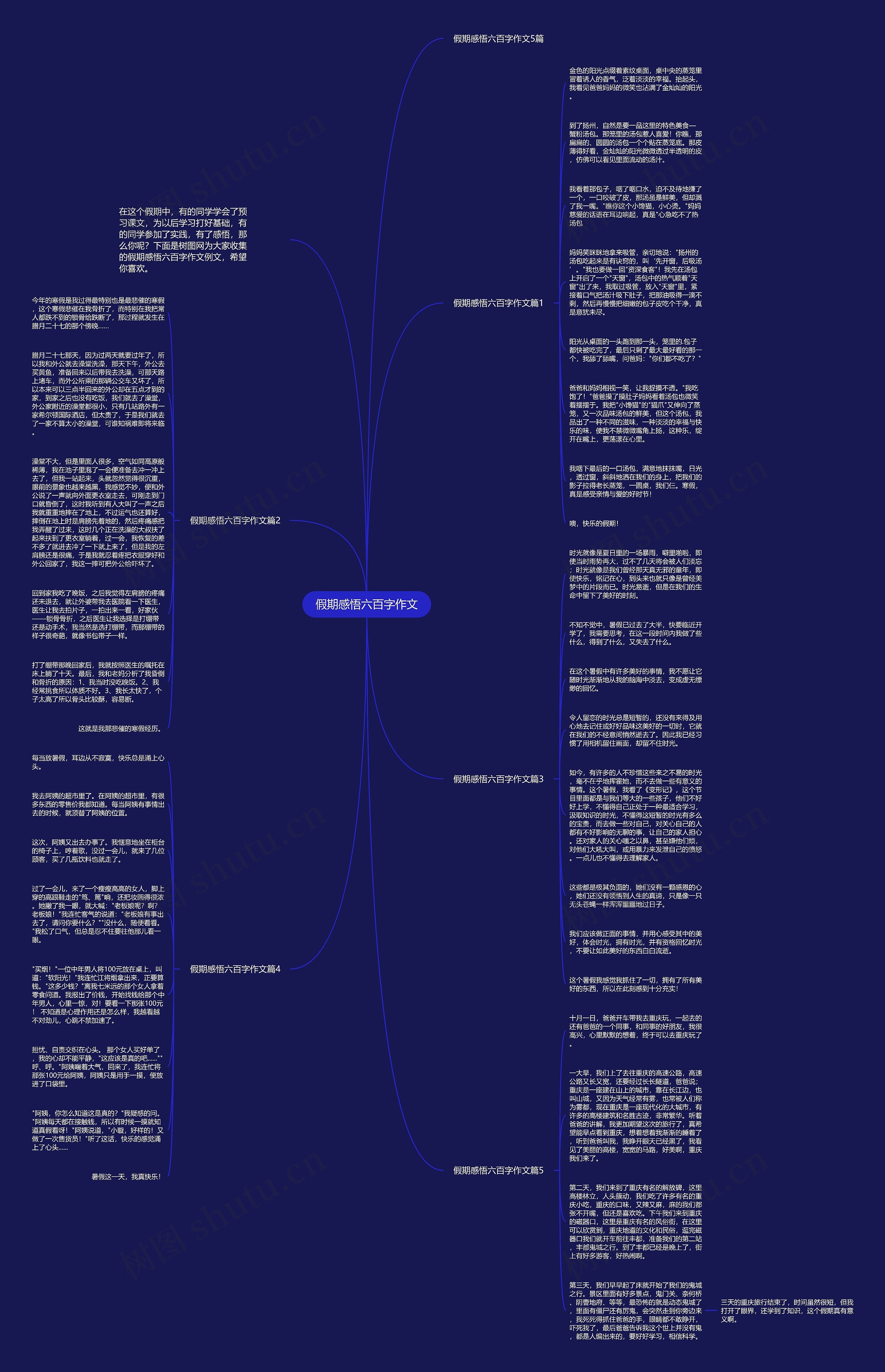 假期感悟六百字作文思维导图