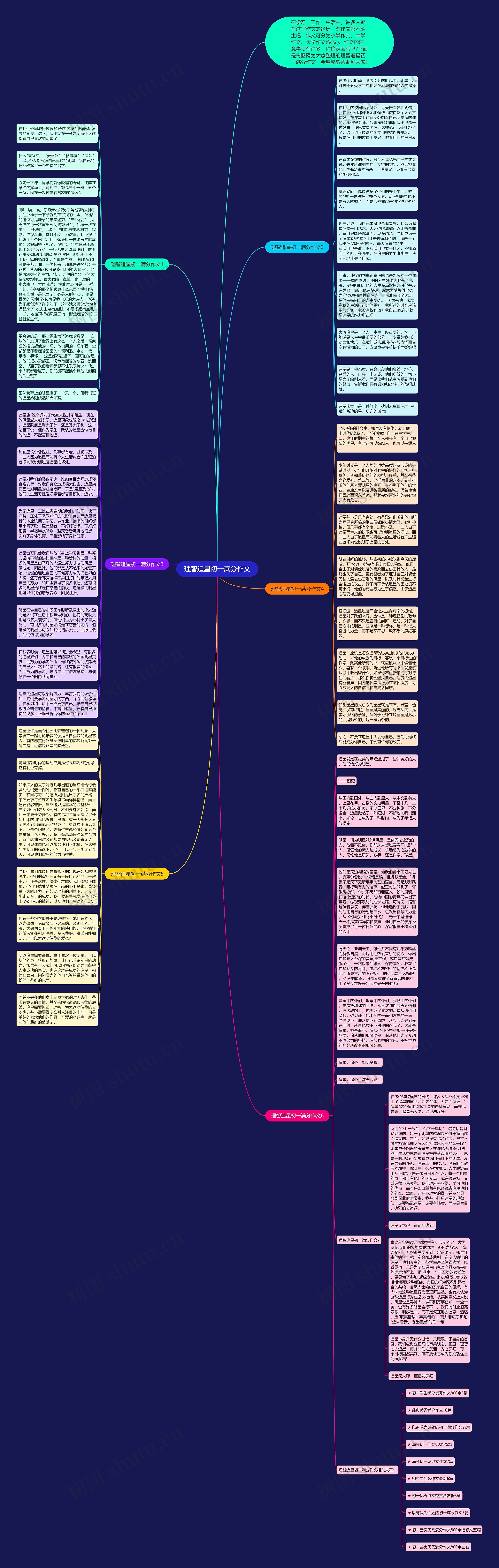 理智追星初一满分作文思维导图