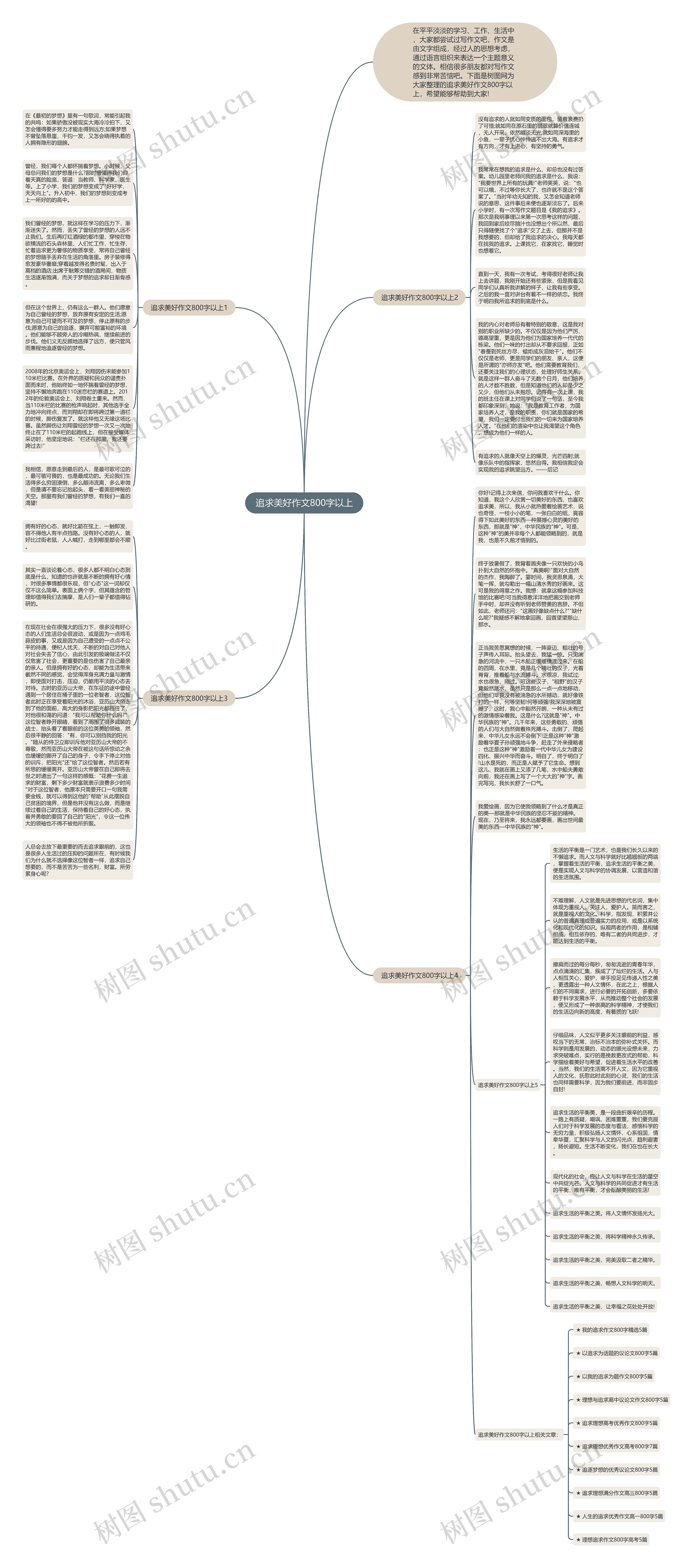 追求美好作文800字以上思维导图