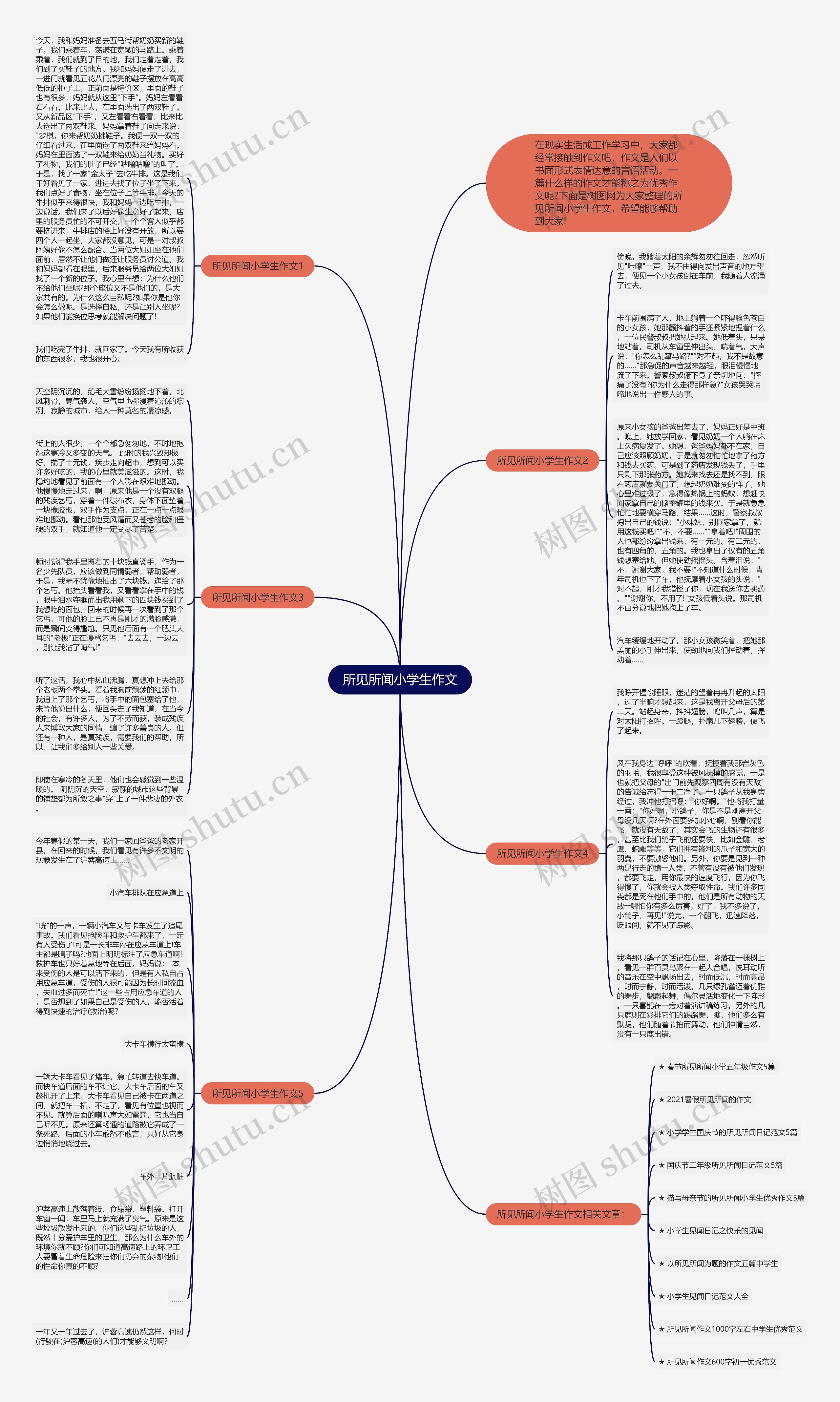 所见所闻小学生作文思维导图