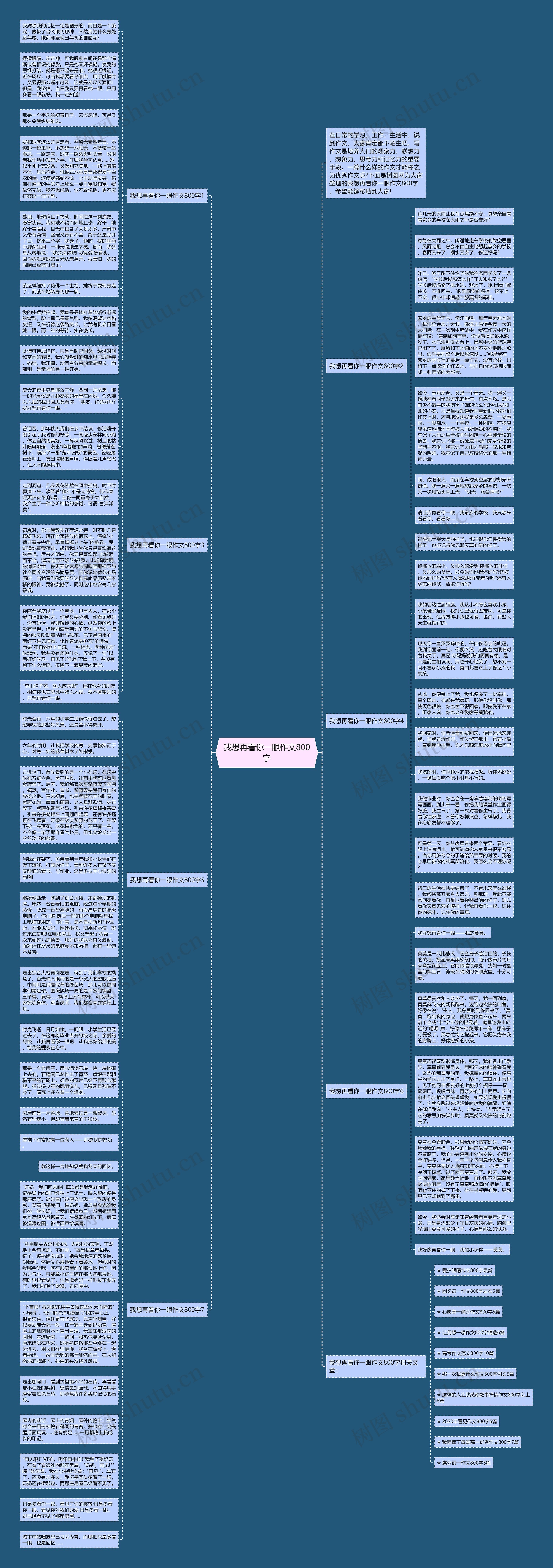 我想再看你一眼作文800字思维导图