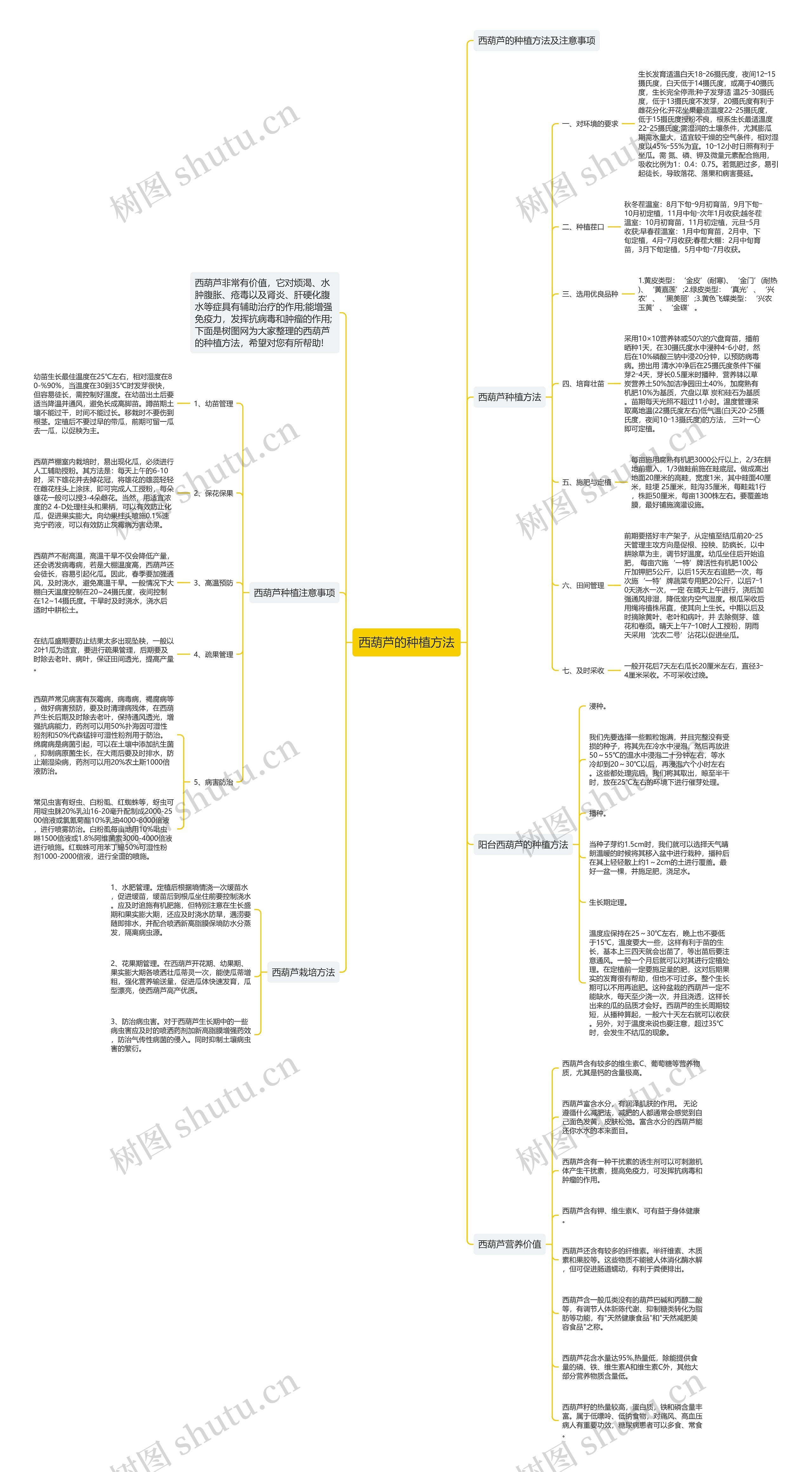 西葫芦的种植方法思维导图