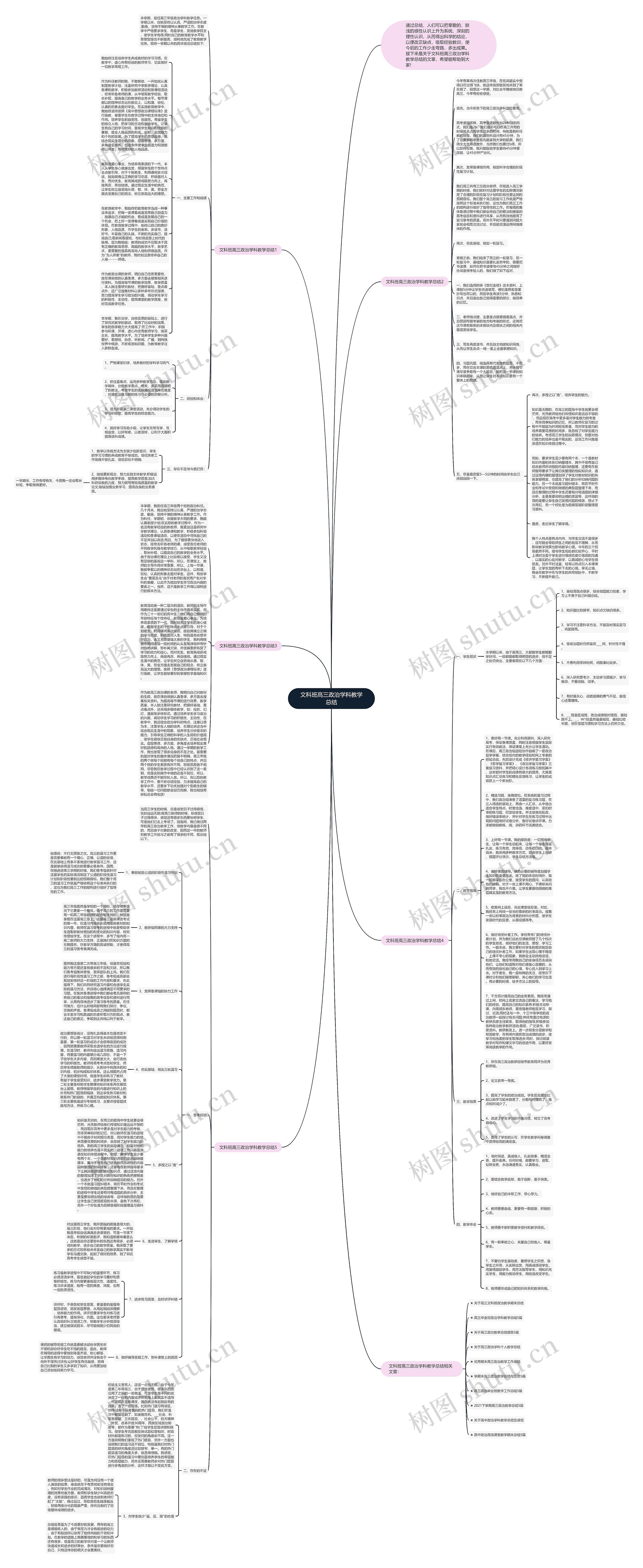 文科班高三政治学科教学总结思维导图