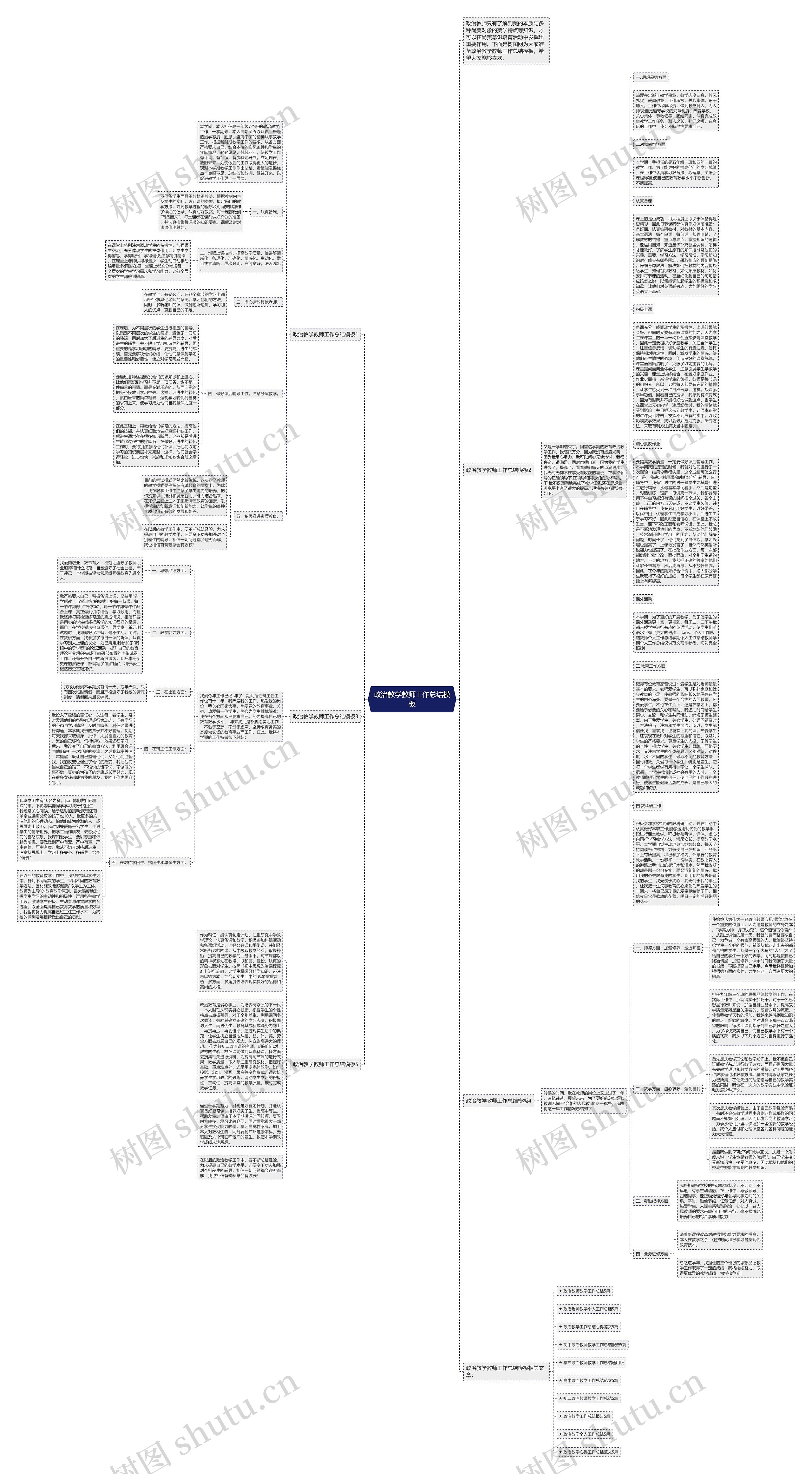 政治教学教师工作总结思维导图