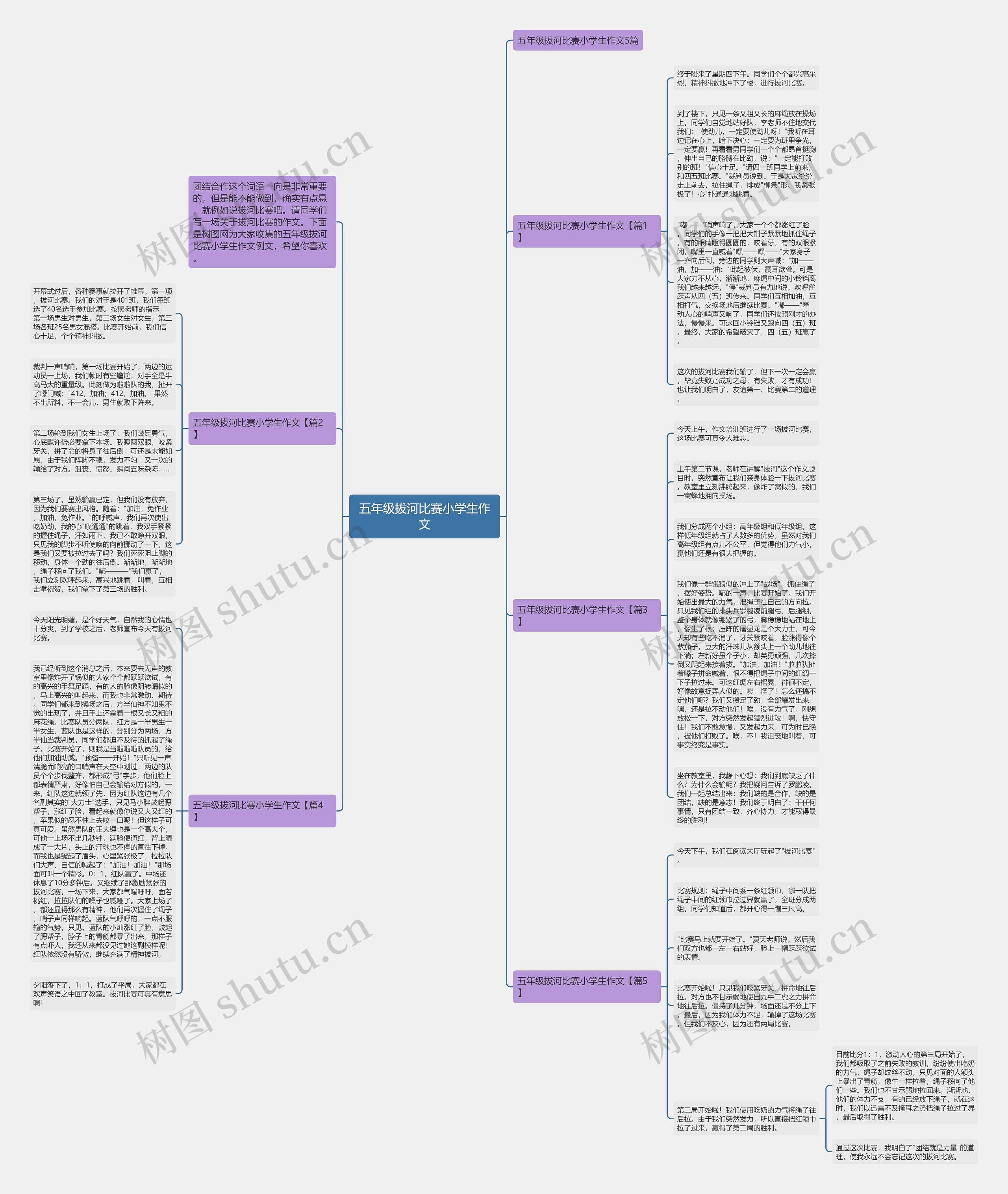 五年级拔河比赛小学生作文思维导图