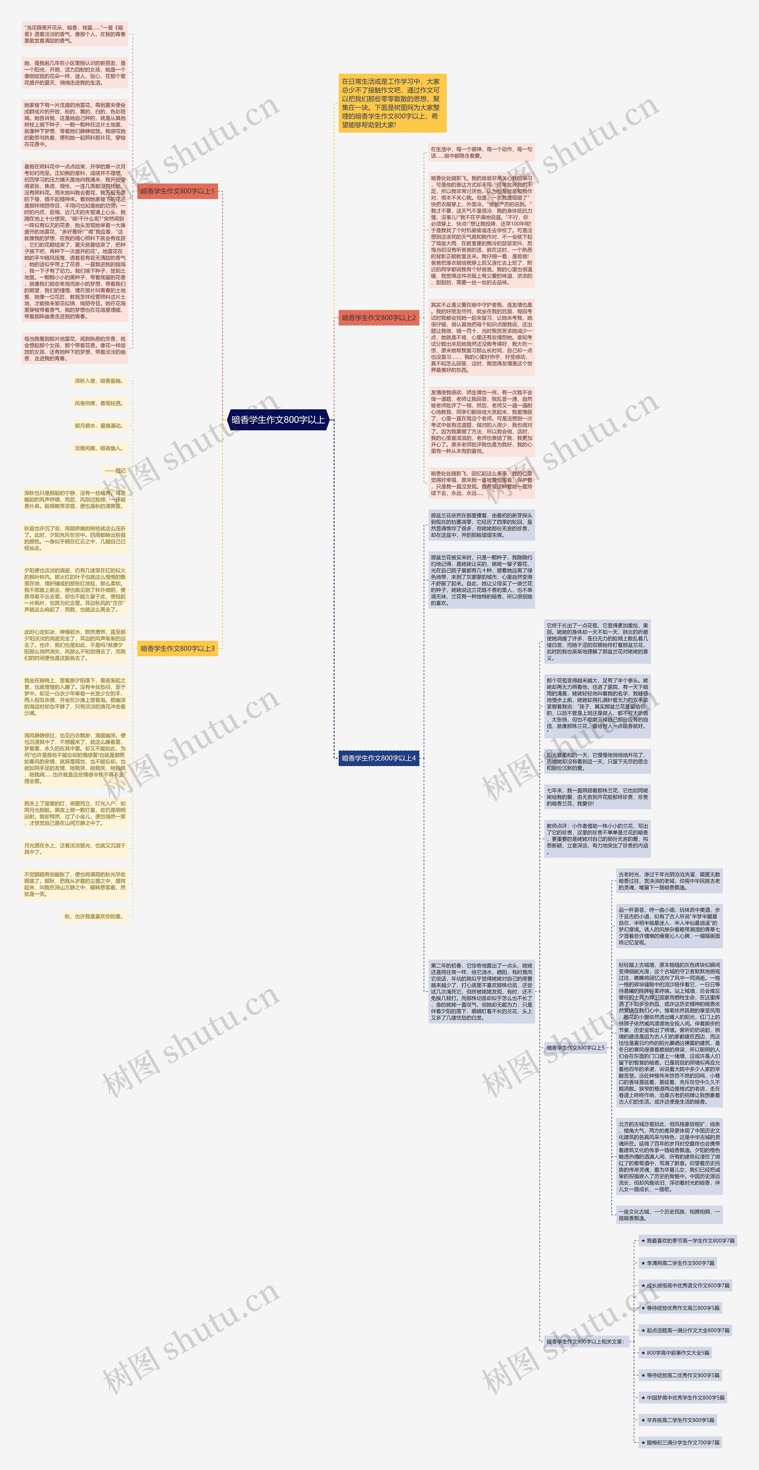 暗香学生作文800字以上思维导图