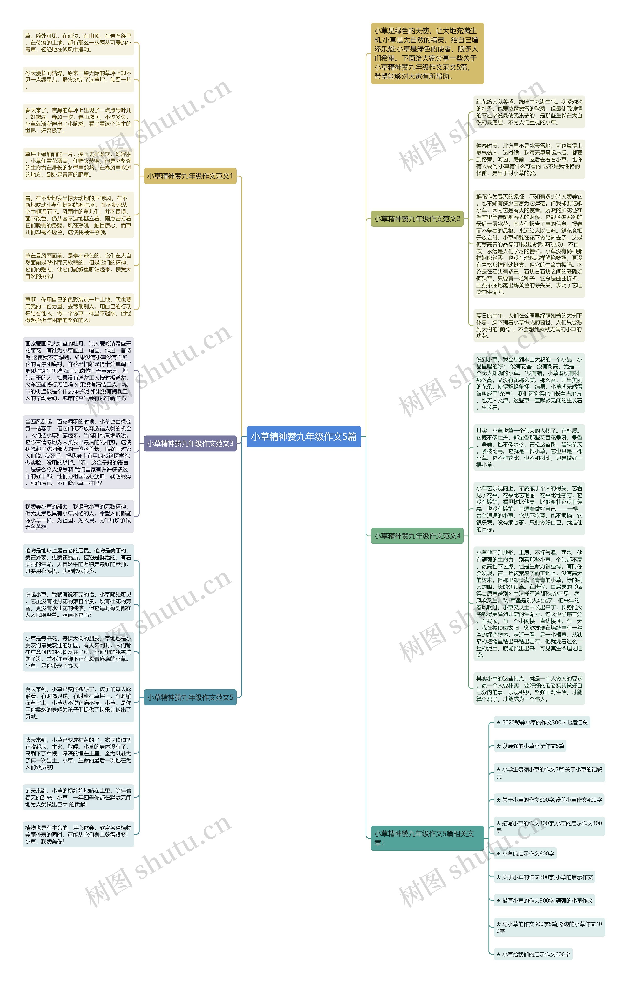 小草精神赞九年级作文5篇思维导图