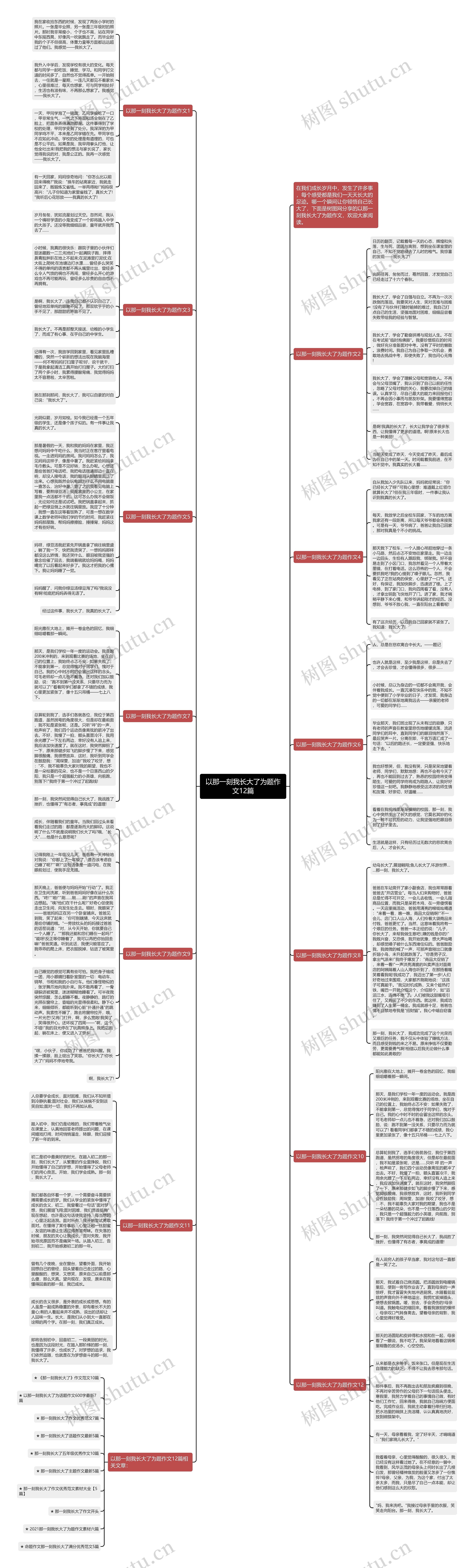 以那一刻我长大了为题作文12篇思维导图
