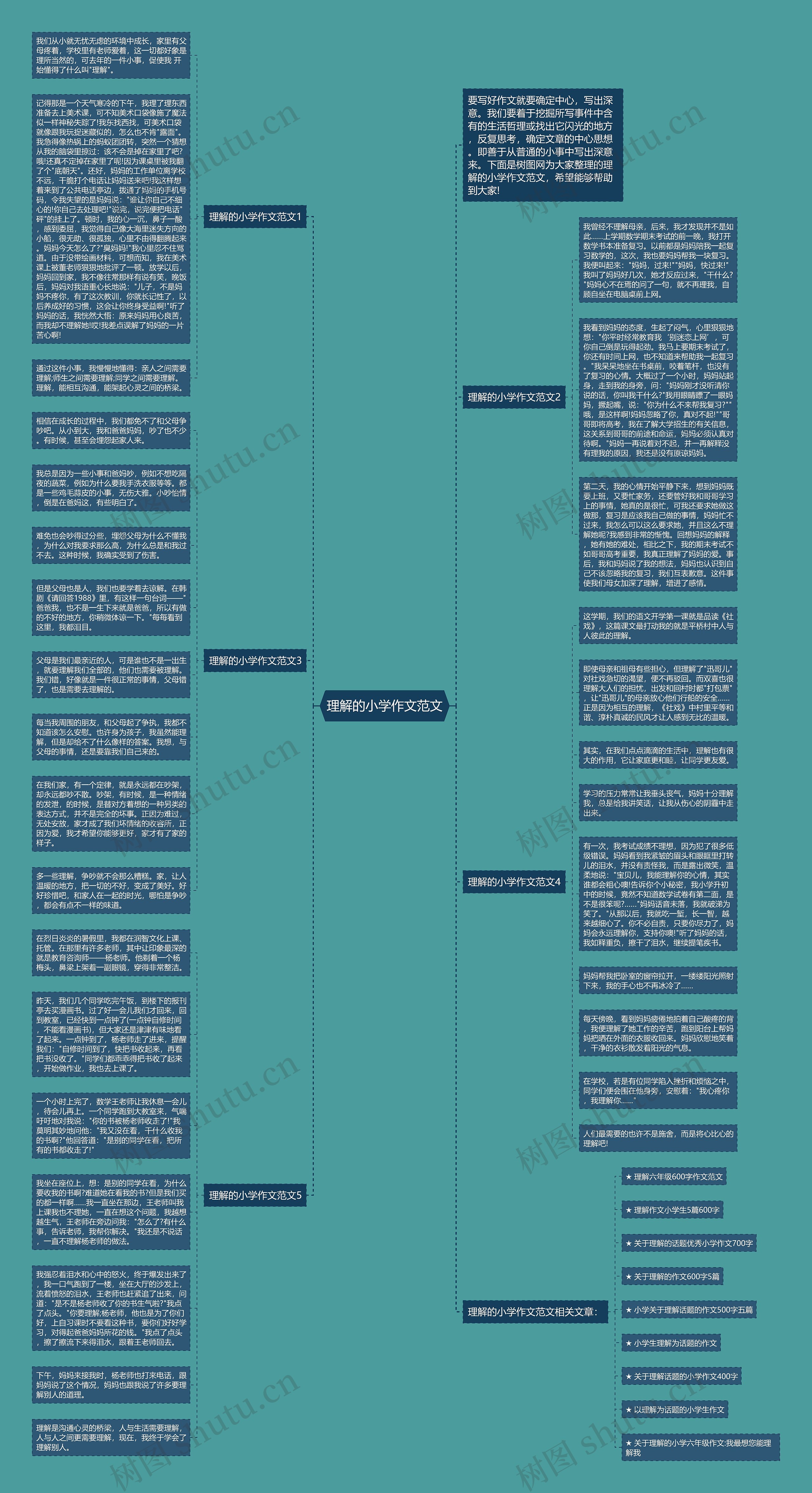 理解的小学作文范文思维导图