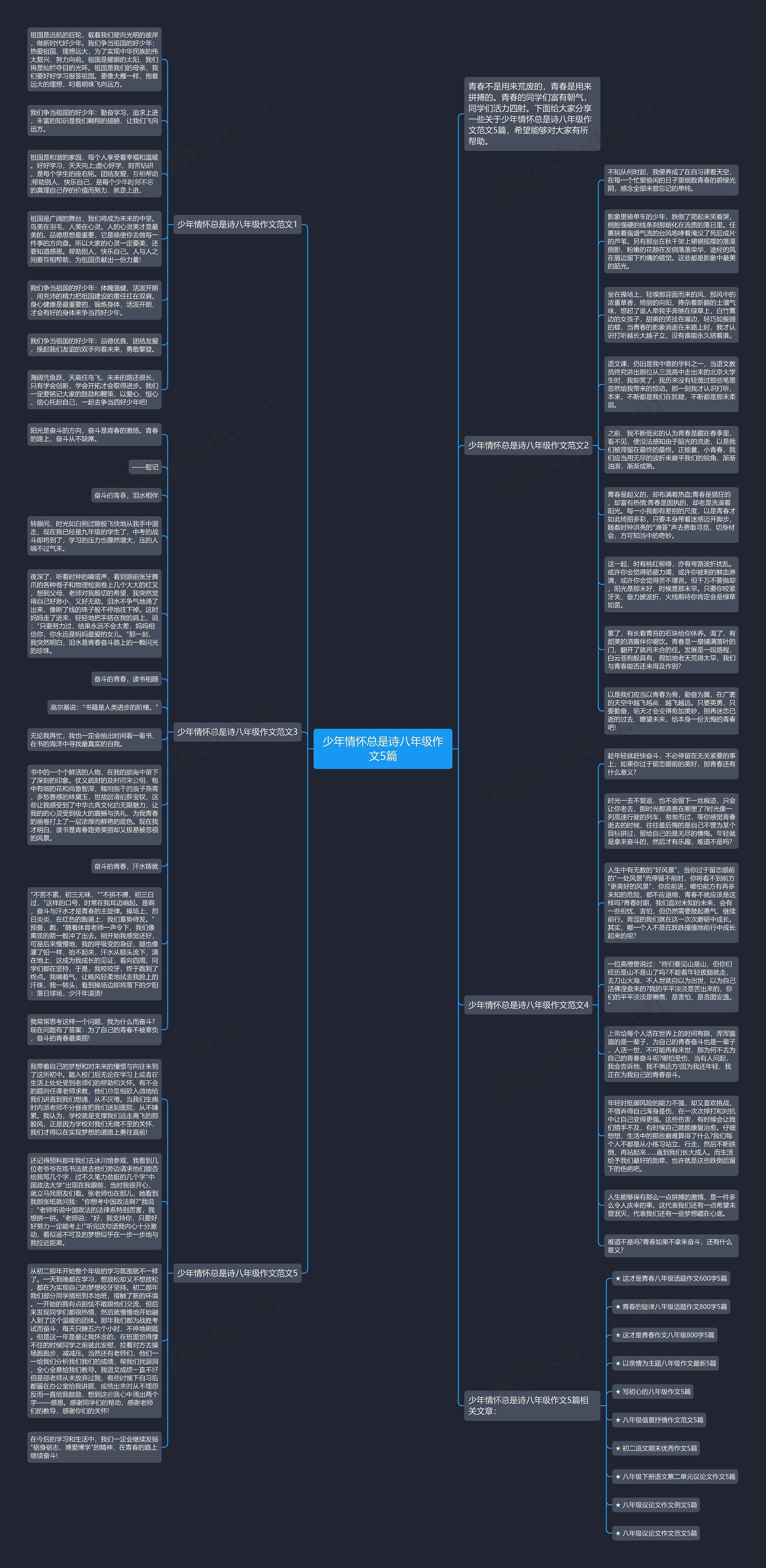 少年情怀总是诗八年级作文5篇思维导图