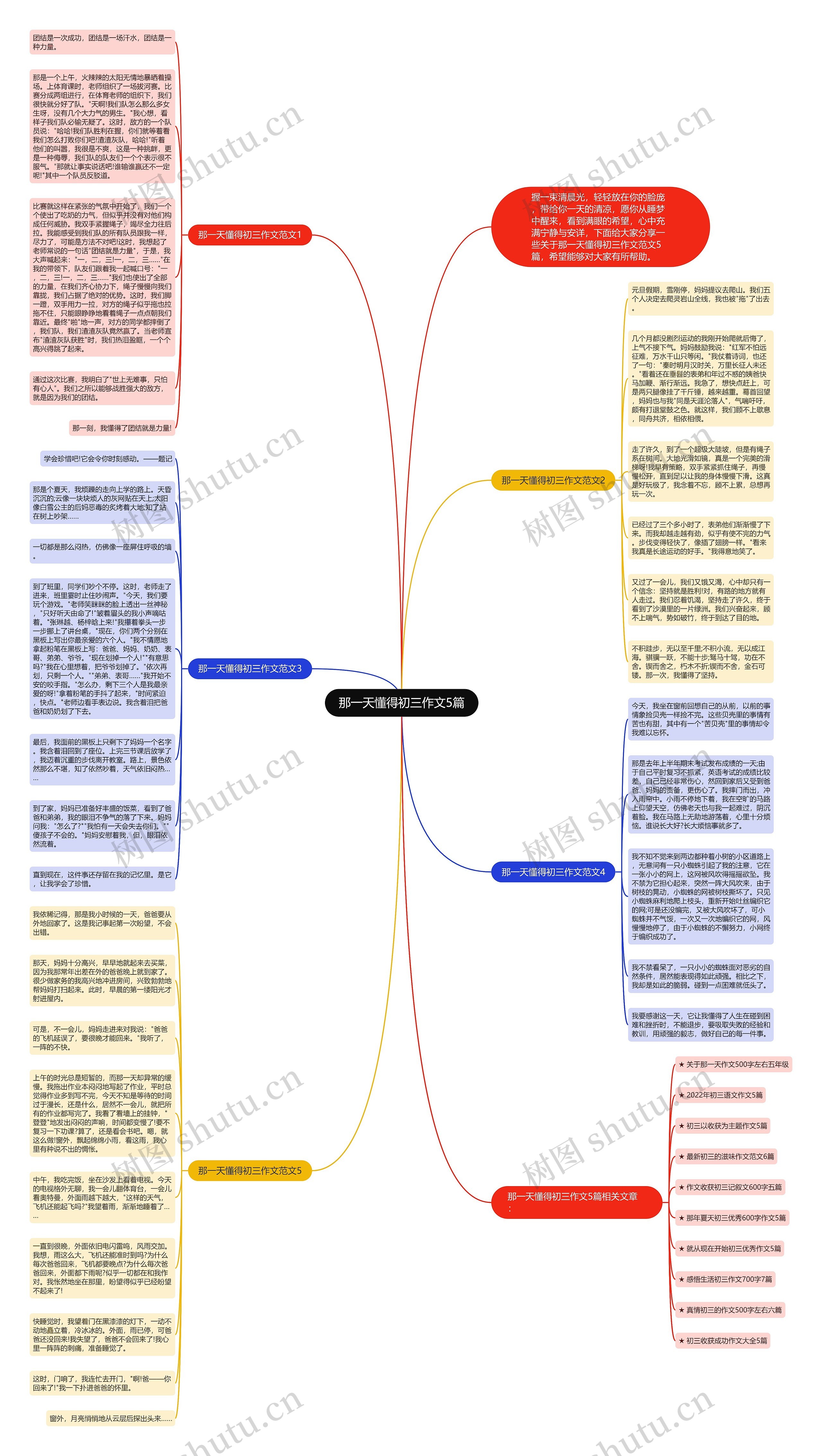 那一天懂得初三作文5篇思维导图