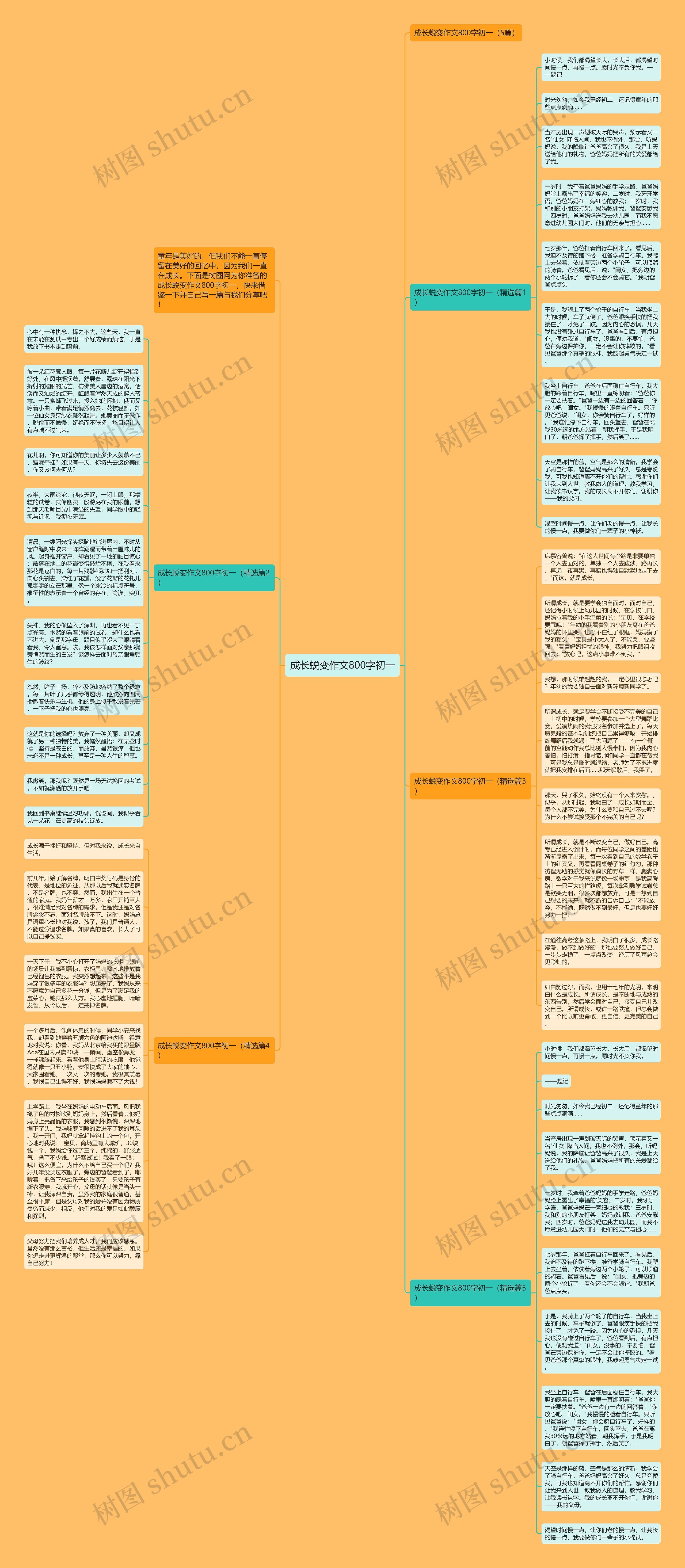 成长蜕变作文800字初一思维导图