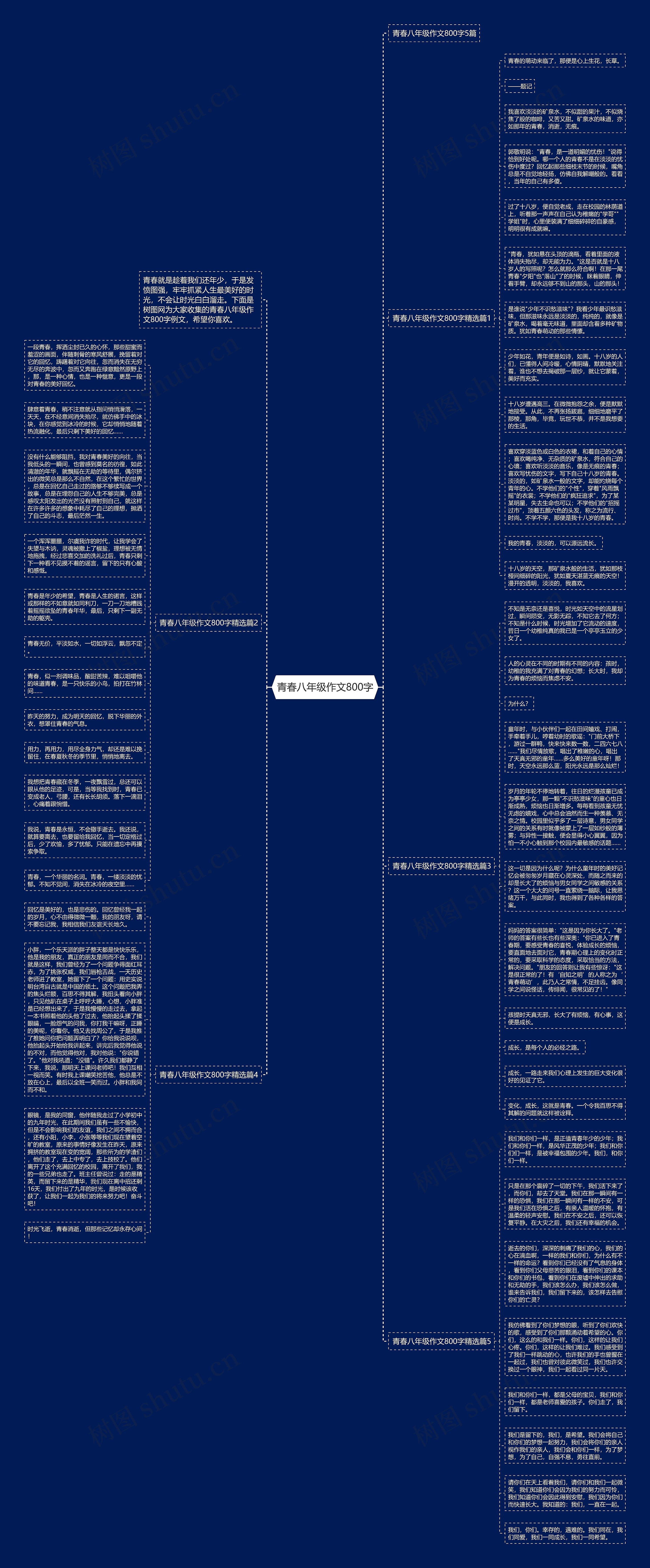 青春八年级作文800字思维导图