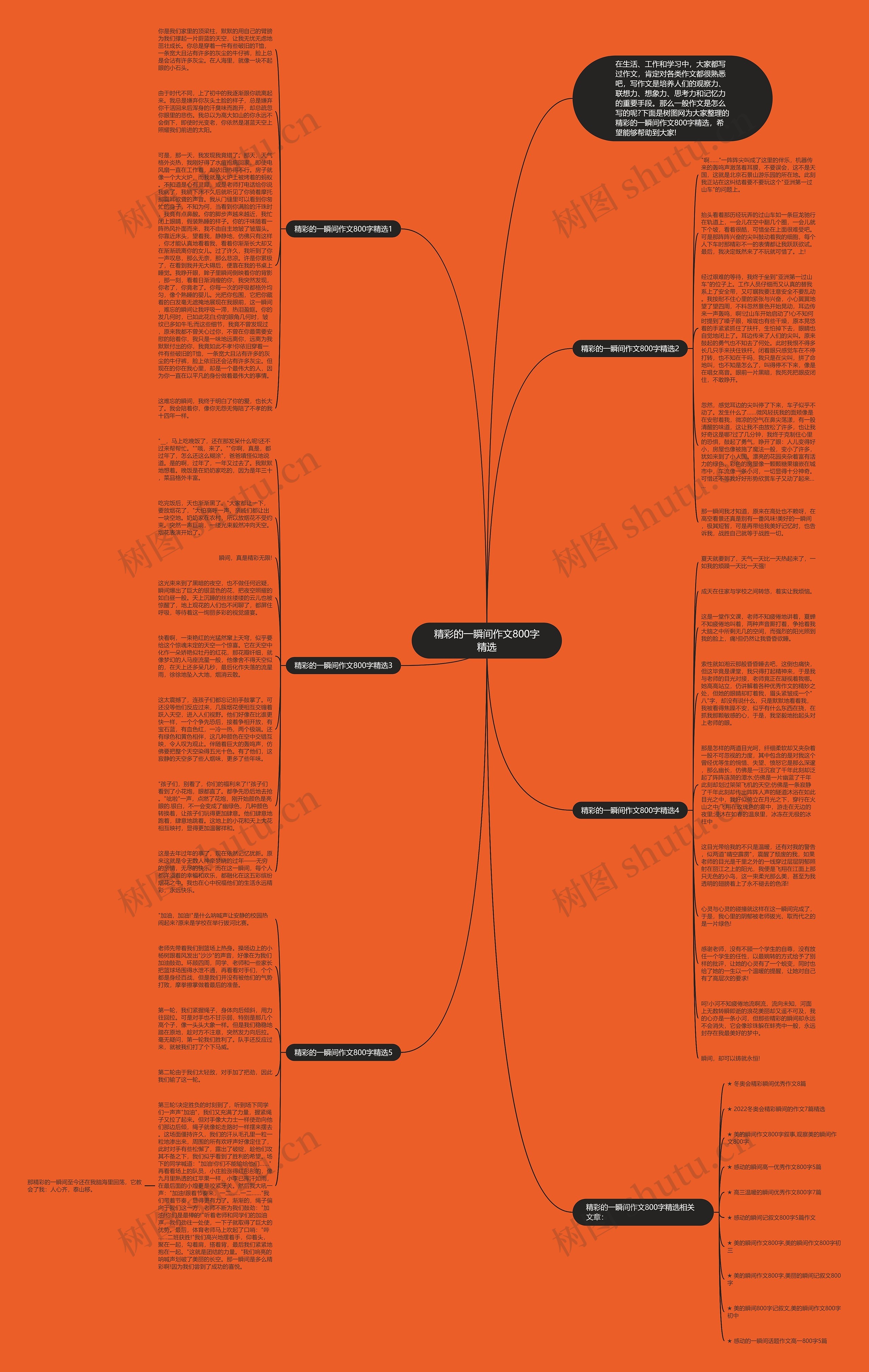 精彩的一瞬间作文800字精选思维导图