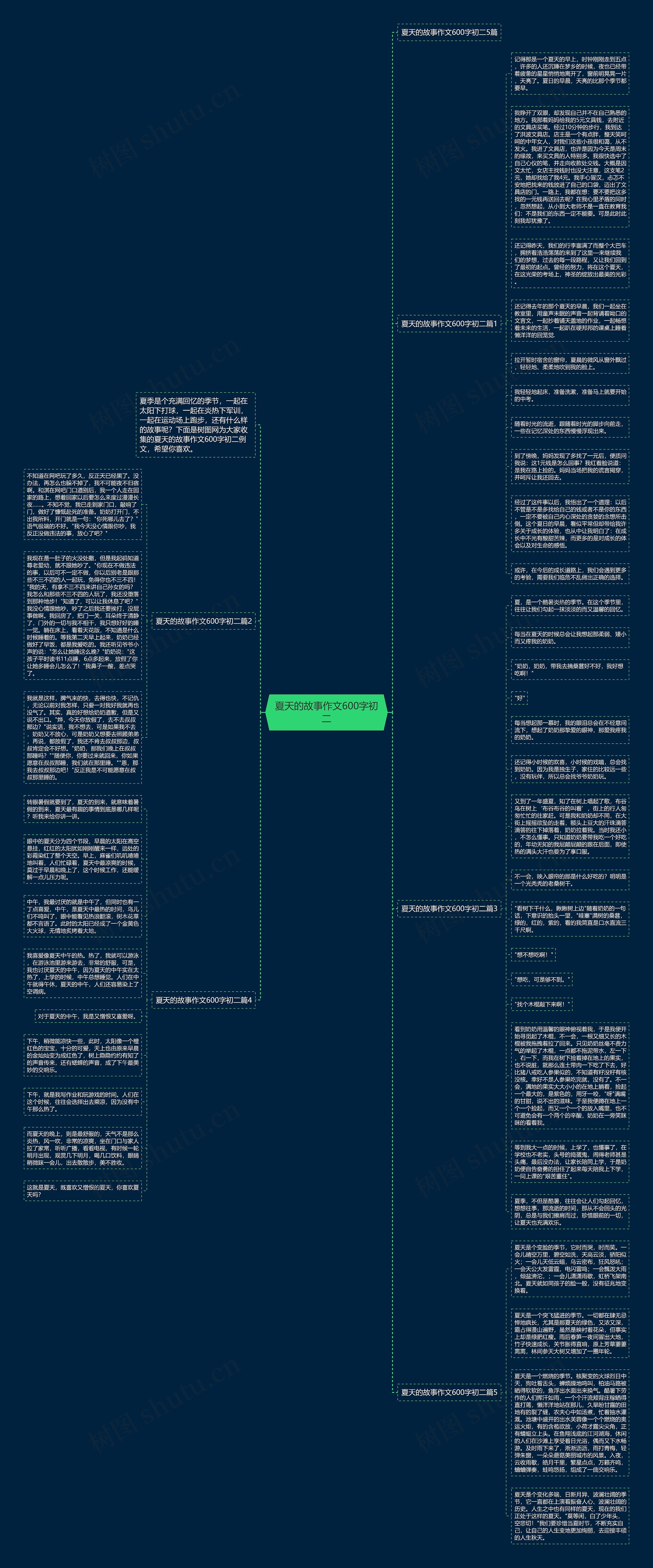 夏天的故事作文600字初二思维导图