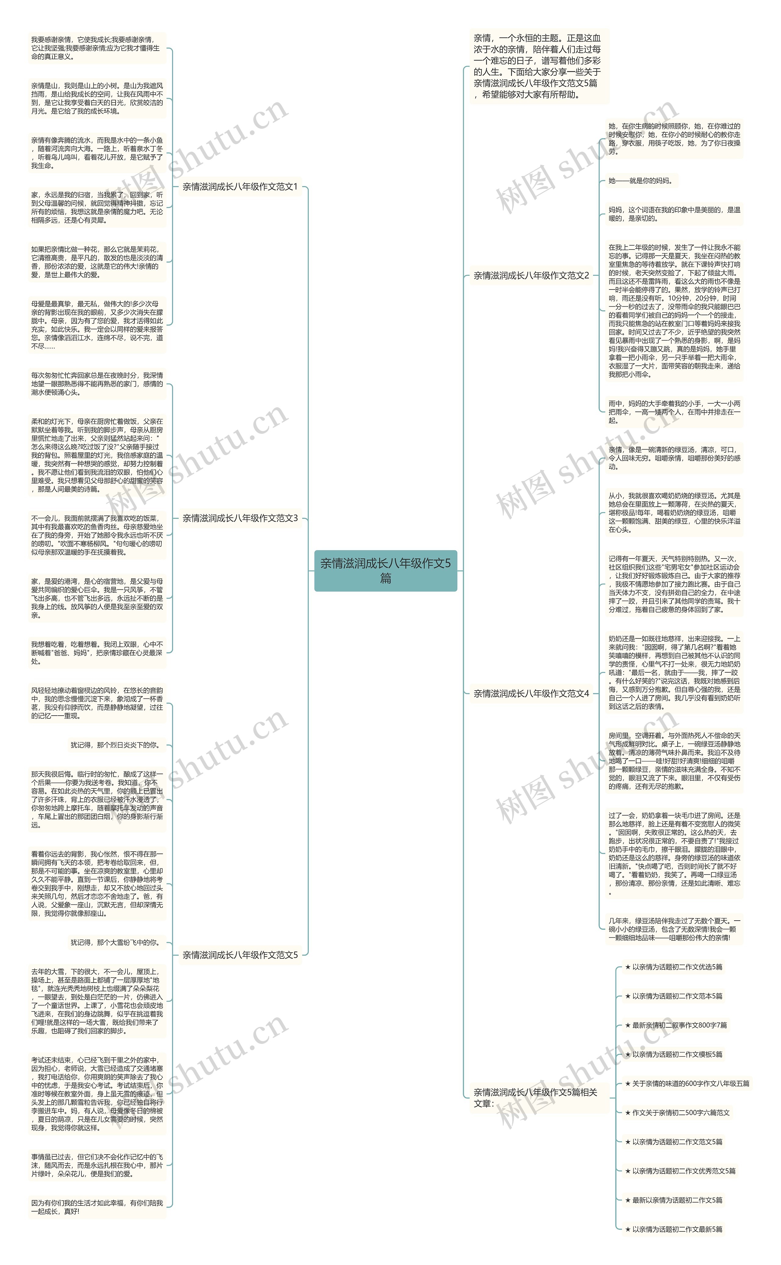 亲情滋润成长八年级作文5篇思维导图