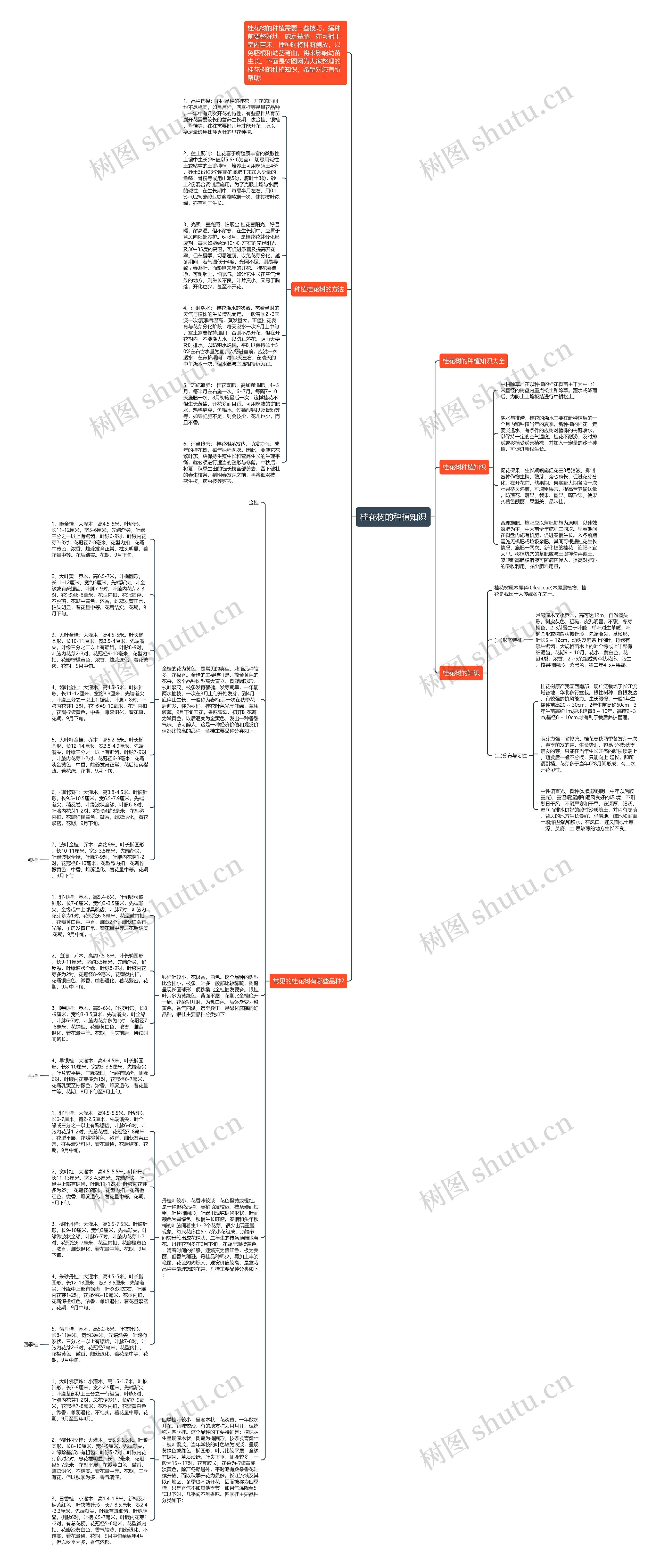 桂花树的种植知识思维导图