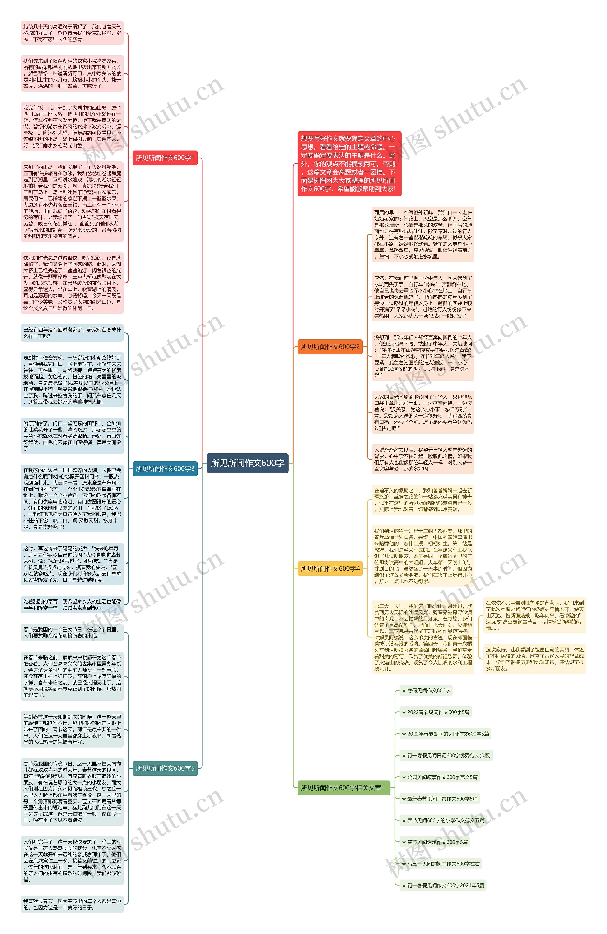 所见所闻作文600字思维导图