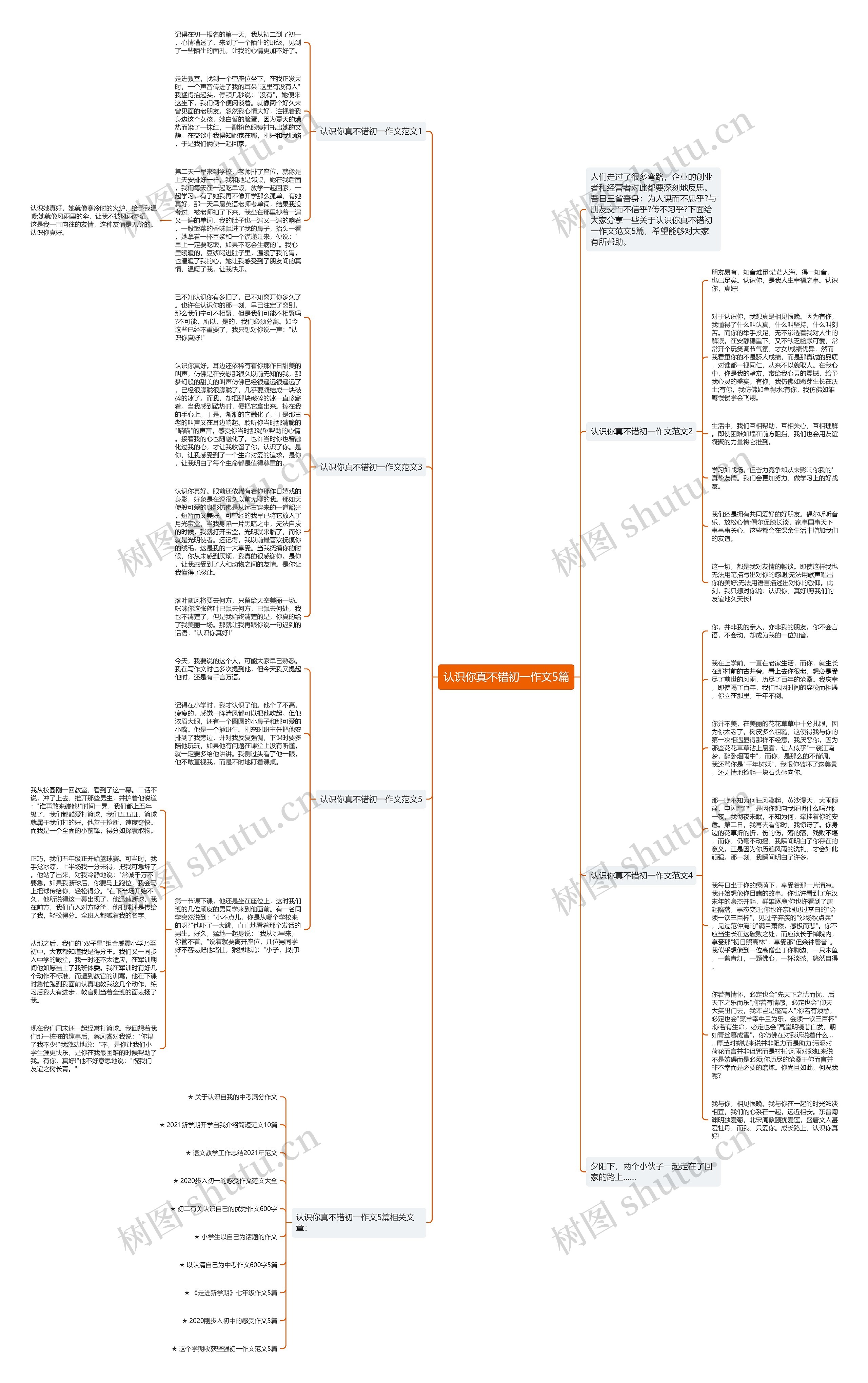 认识你真不错初一作文5篇思维导图