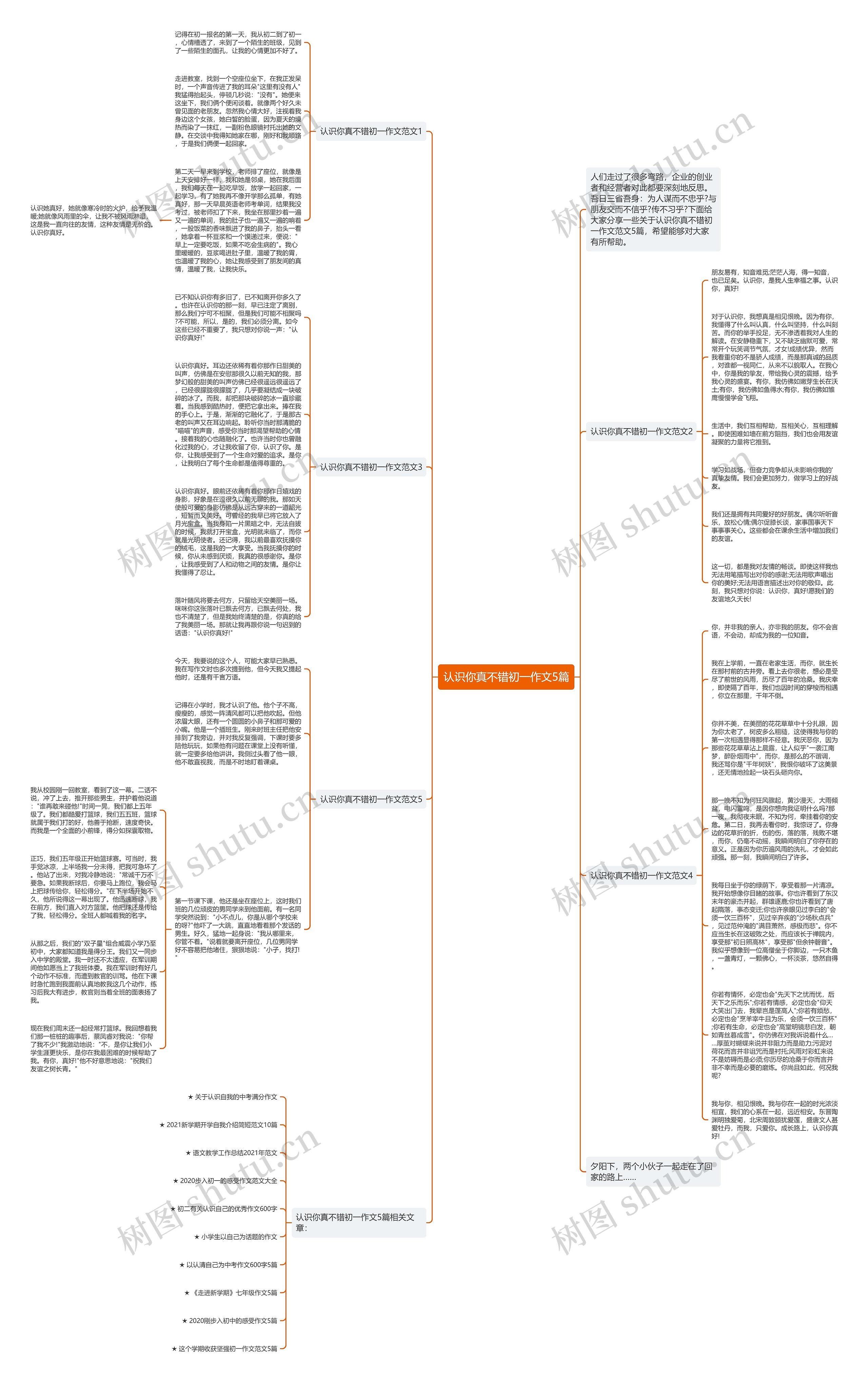 认识你真不错初一作文5篇思维导图高清图 认识你真不错初一作文5篇思维导图
