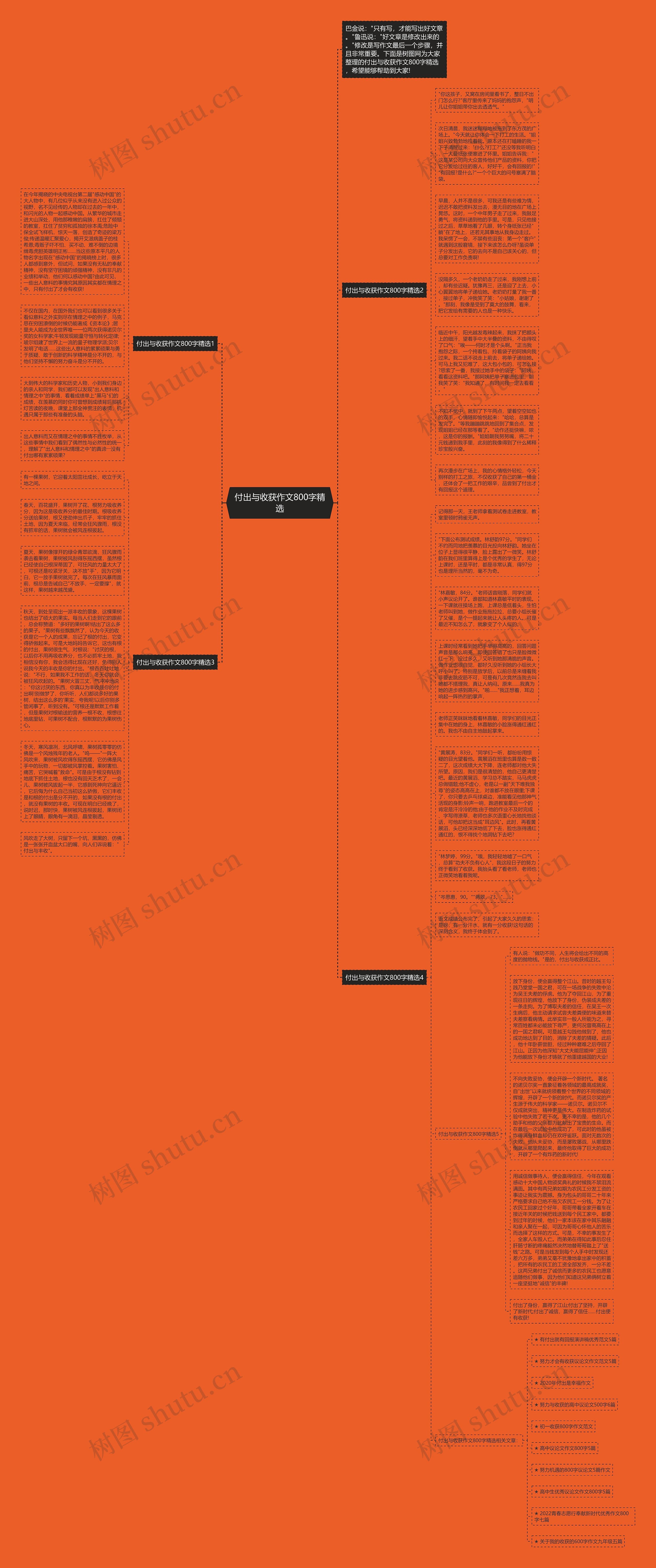付出与收获作文800字精选思维导图