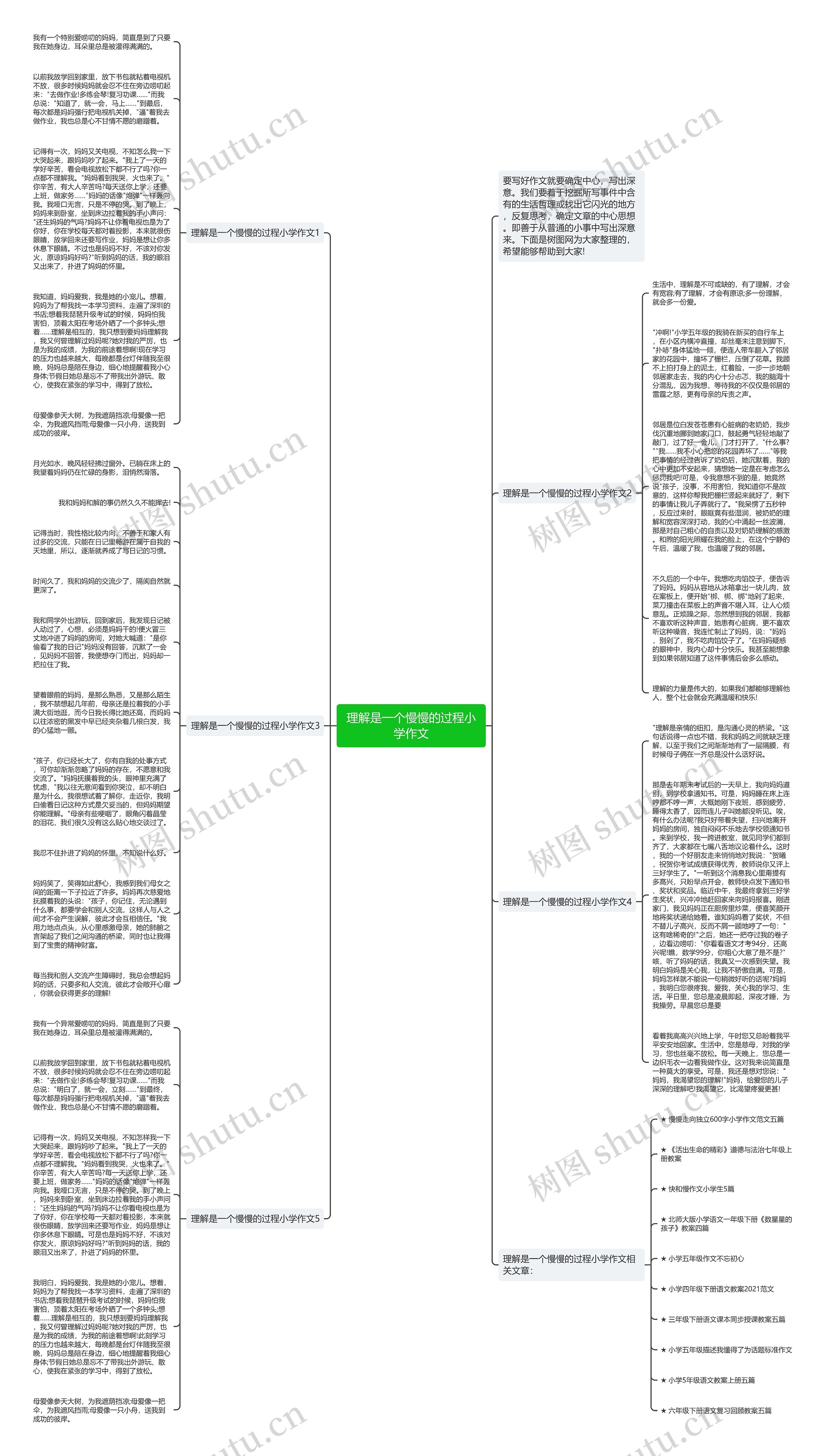 理解是一个慢慢的过程小学作文思维导图