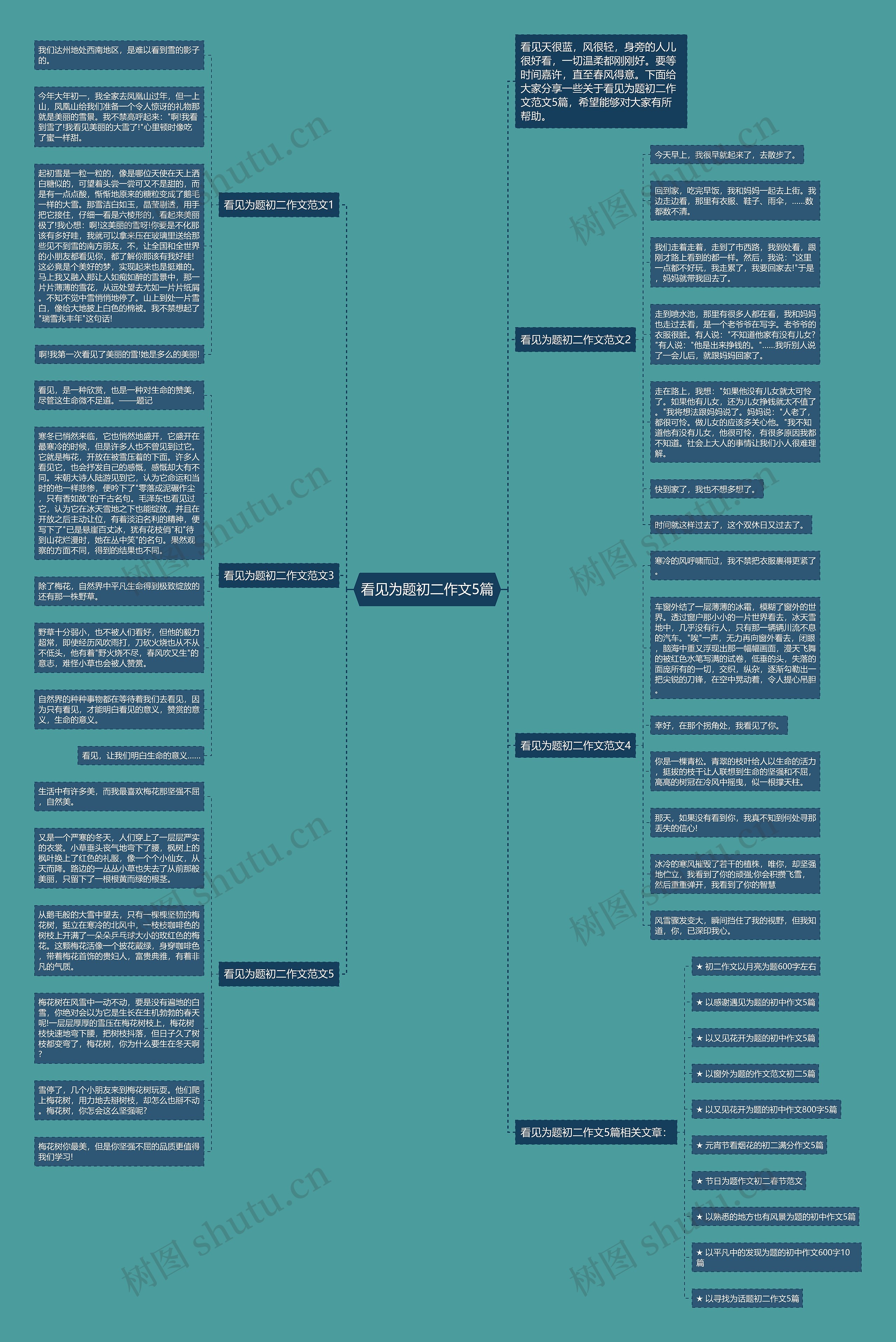 看见为题初二作文5篇思维导图