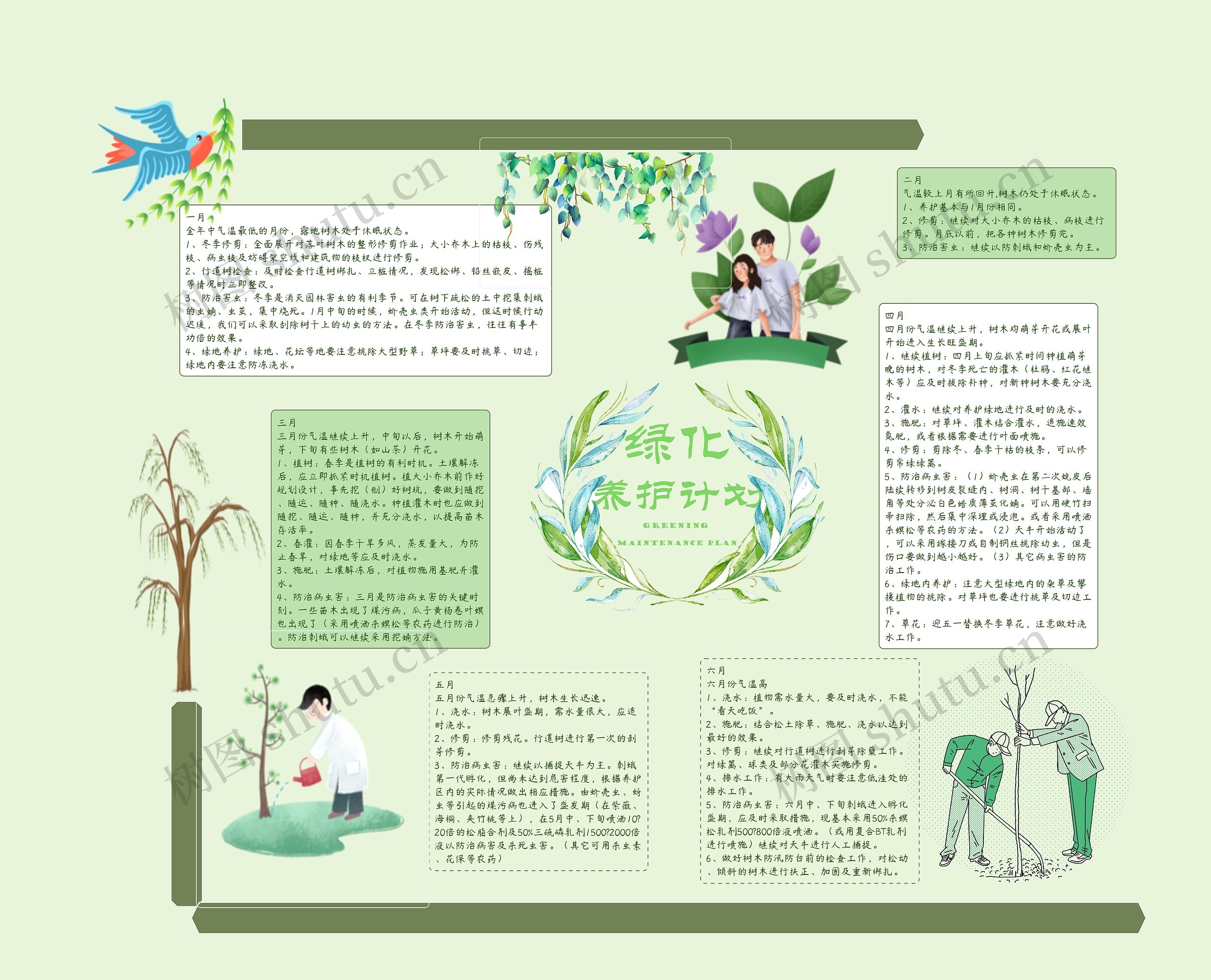 绿化养护计划（上）思维导图