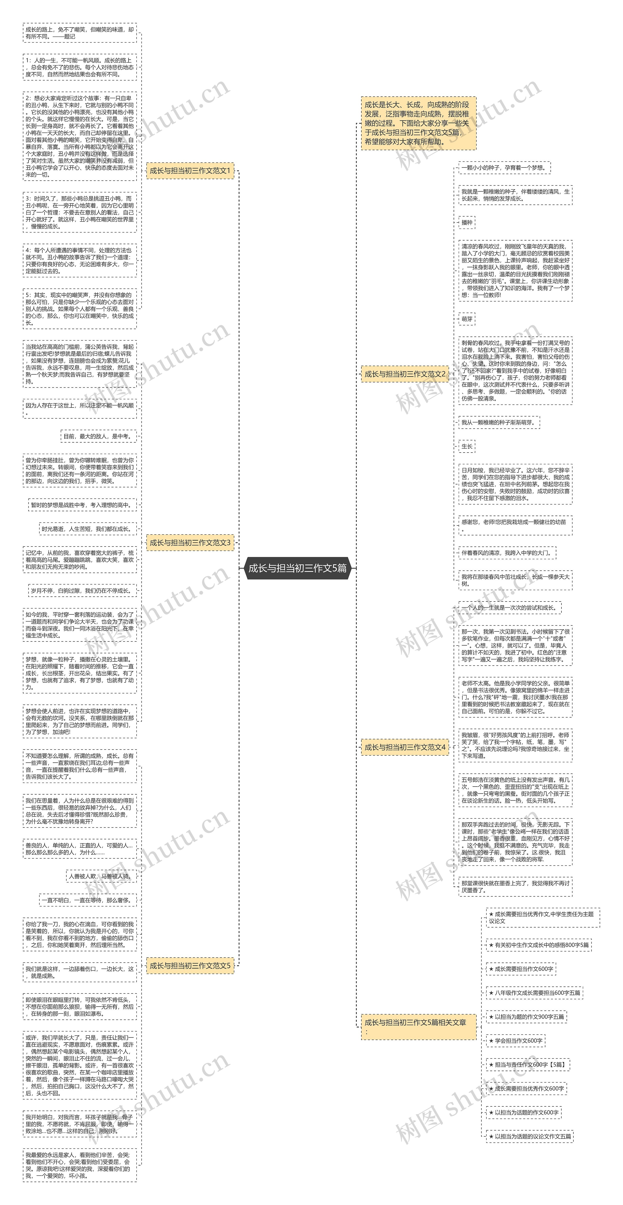 成长与担当初三作文5篇思维导图