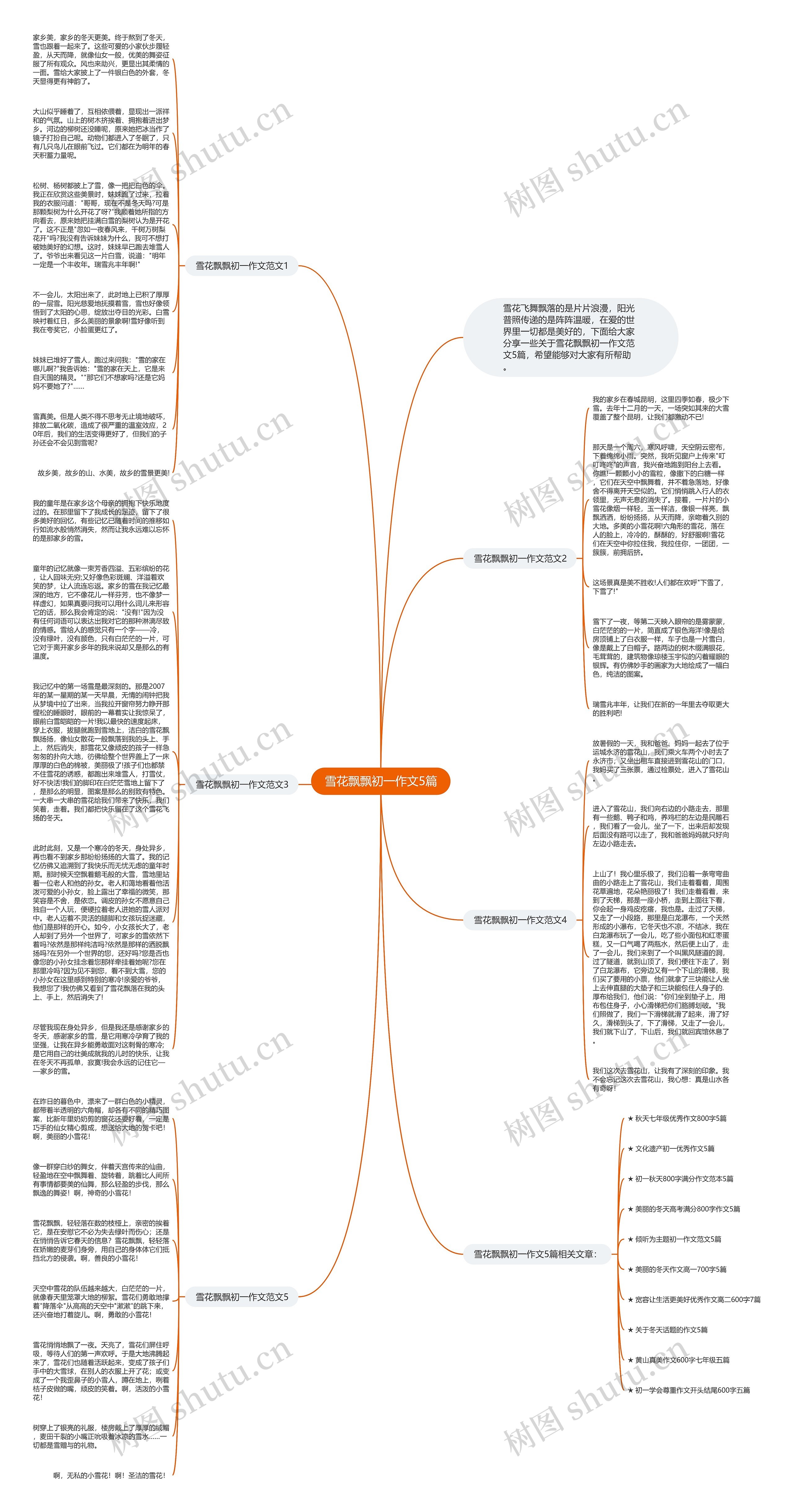雪花飘飘初一作文5篇思维导图