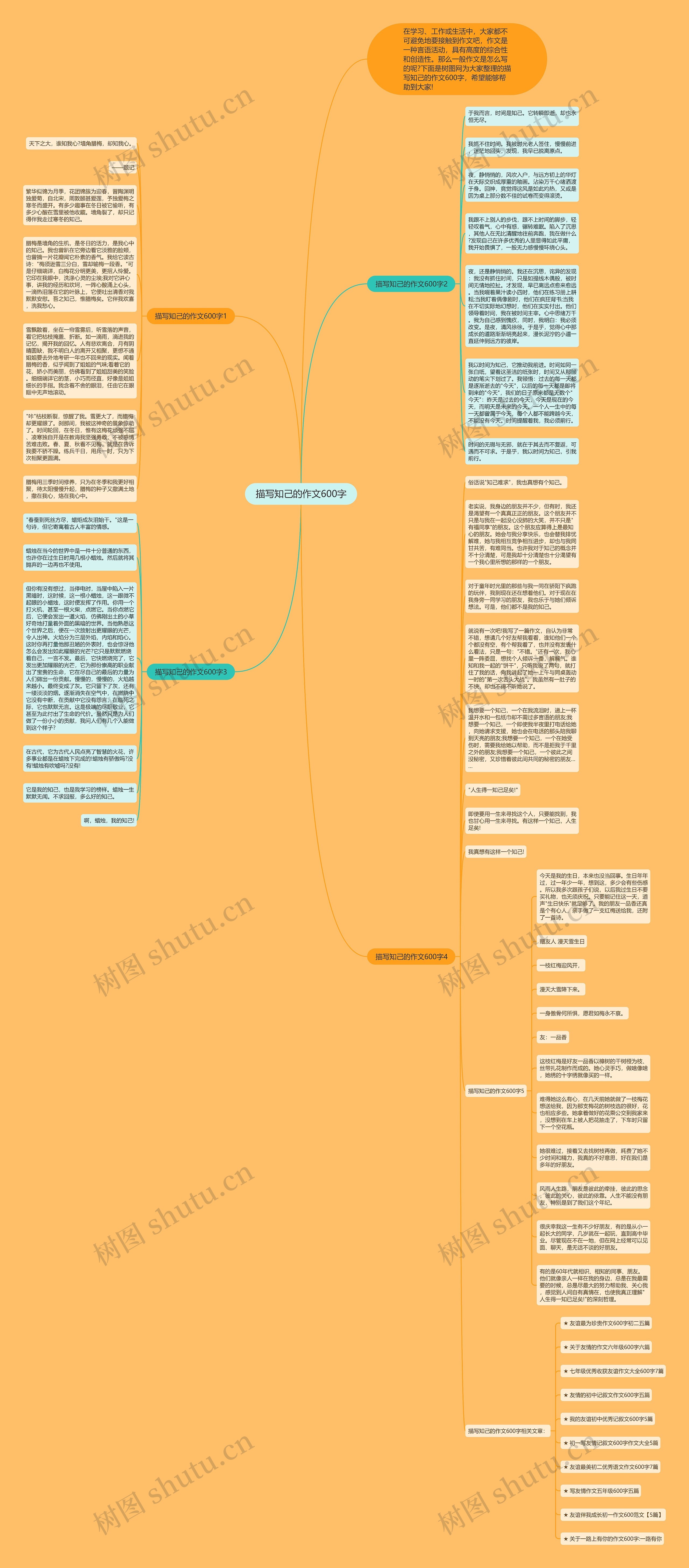 描写知己的作文600字思维导图