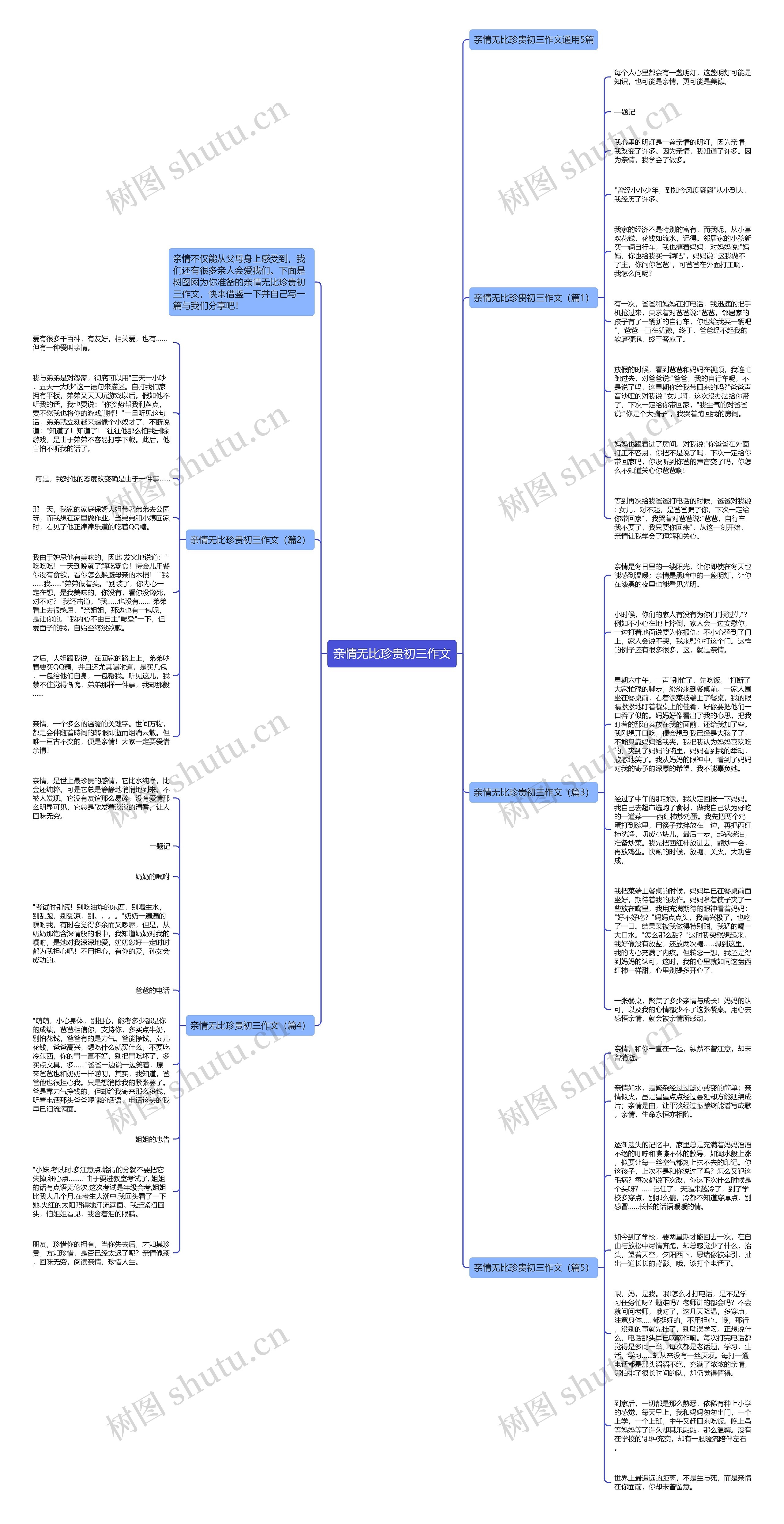 亲情无比珍贵初三作文思维导图