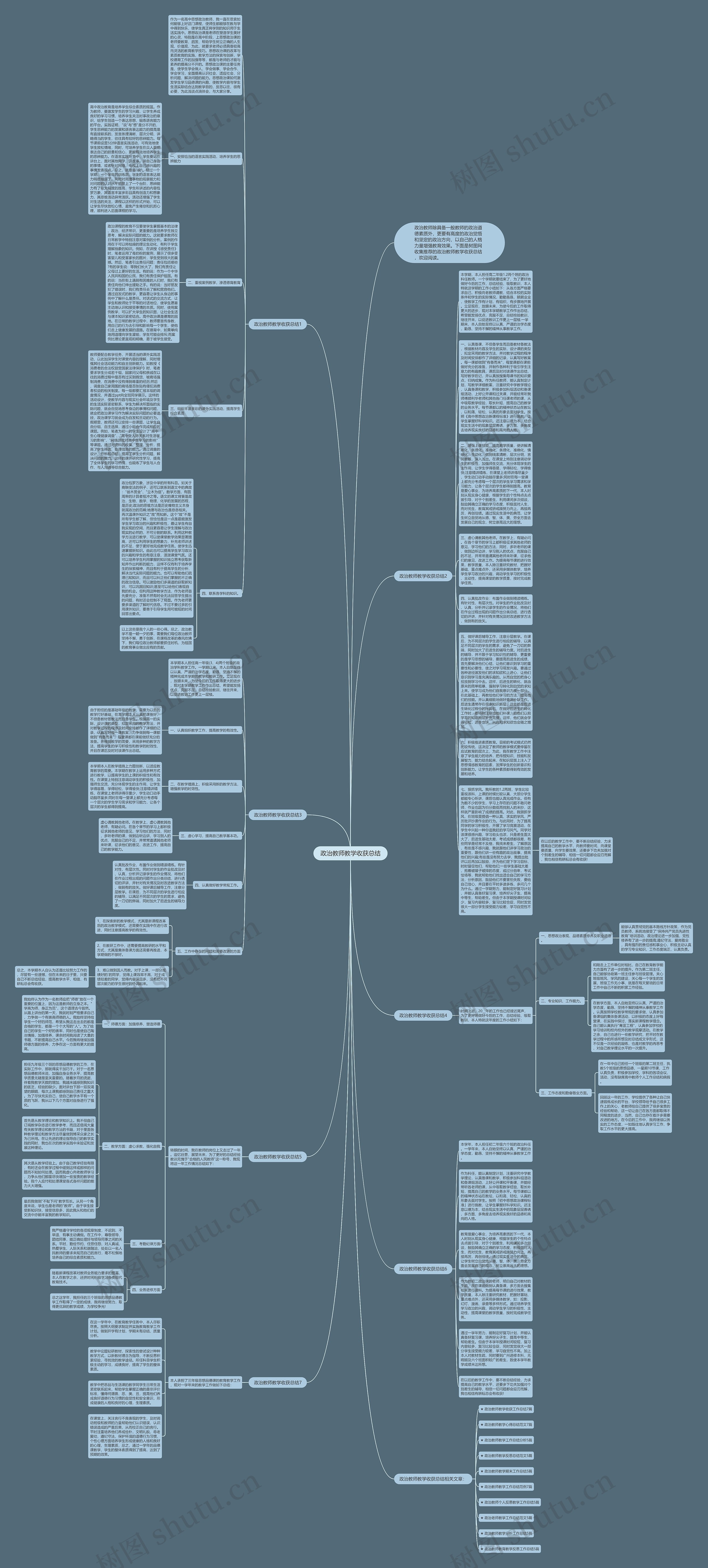 政治教师教学收获总结思维导图
