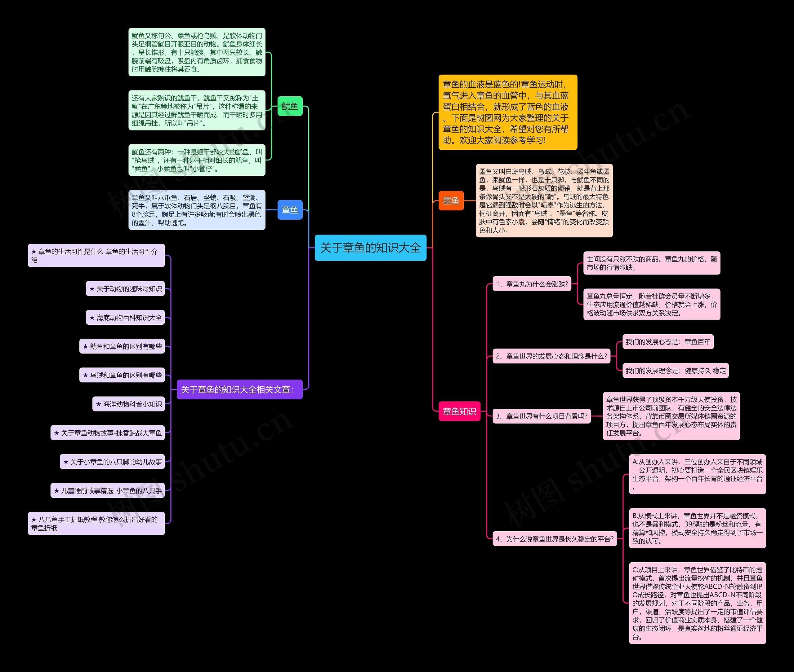 关于章鱼的知识大全思维导图