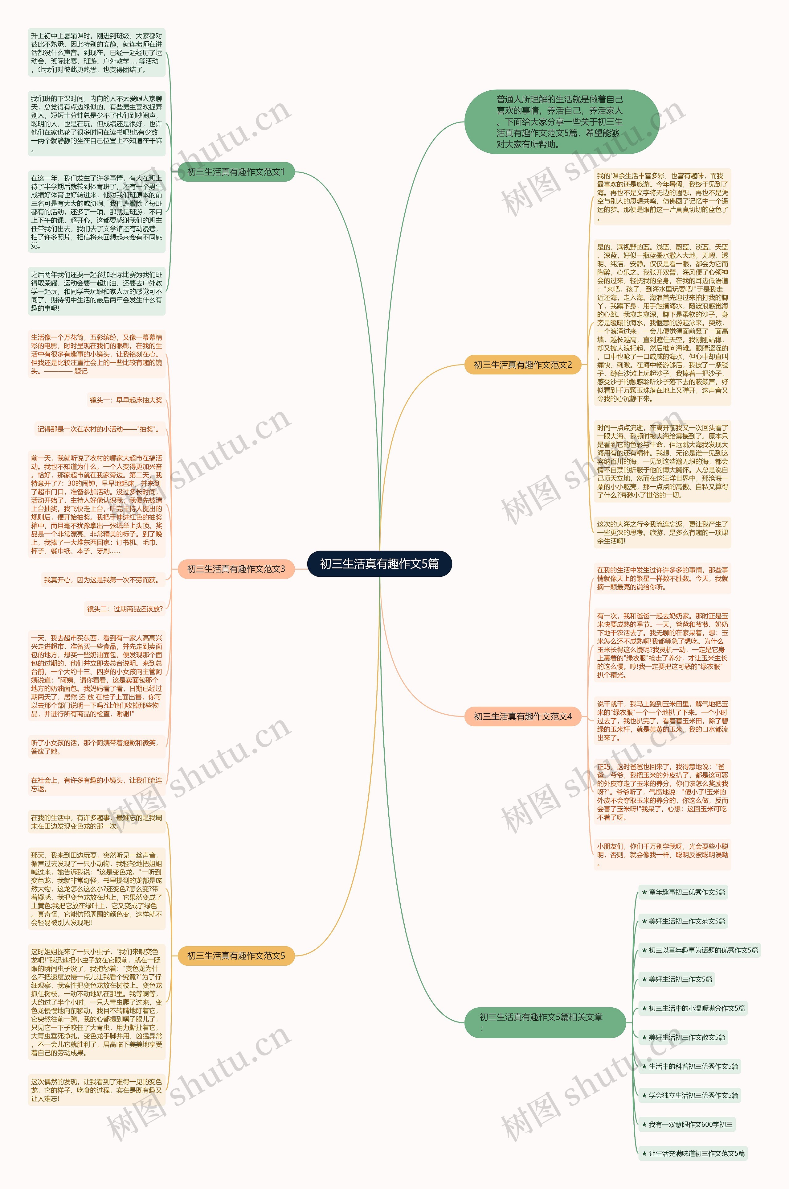 初三生活真有趣作文5篇思维导图