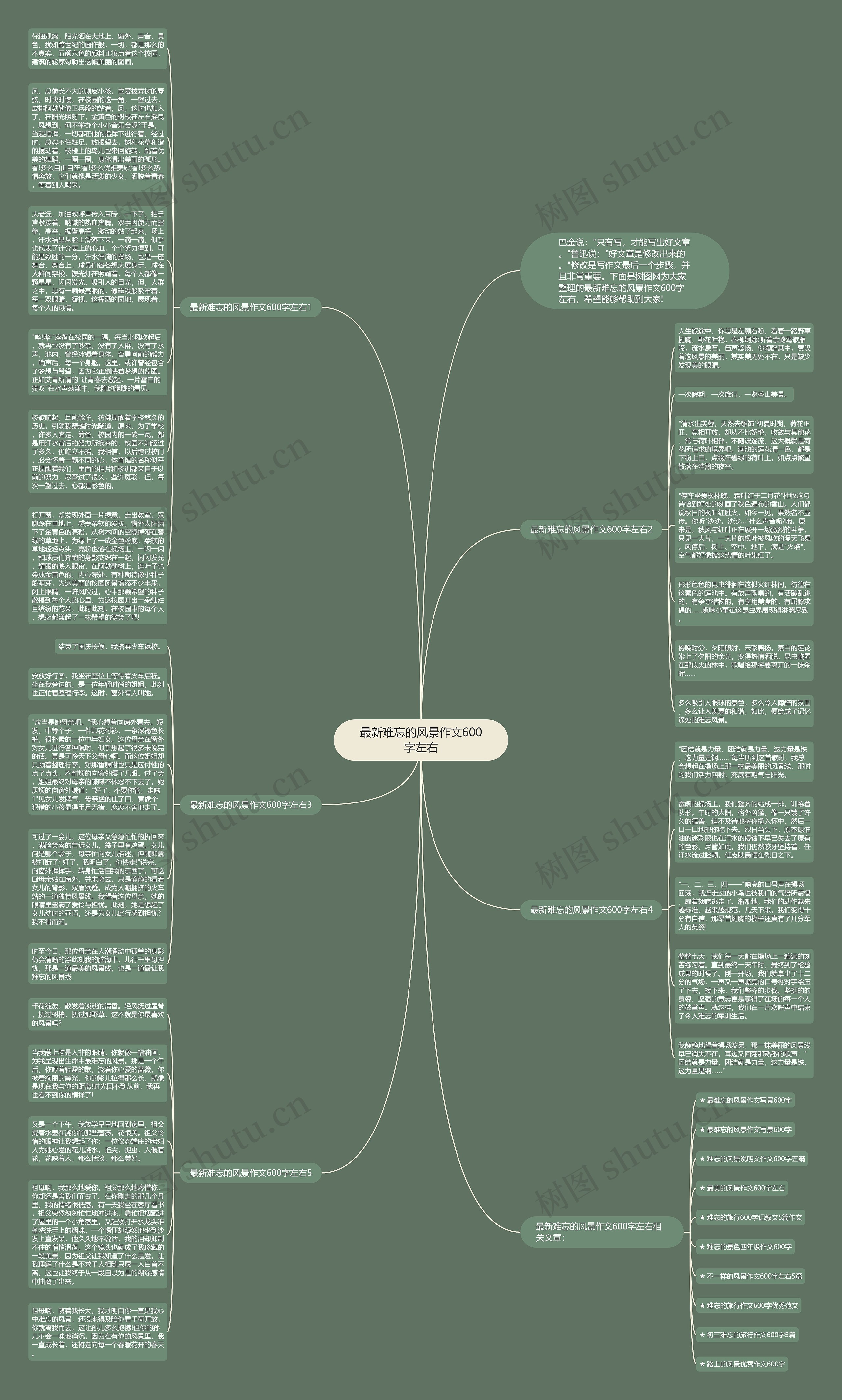 最新难忘的风景作文600字左右思维导图