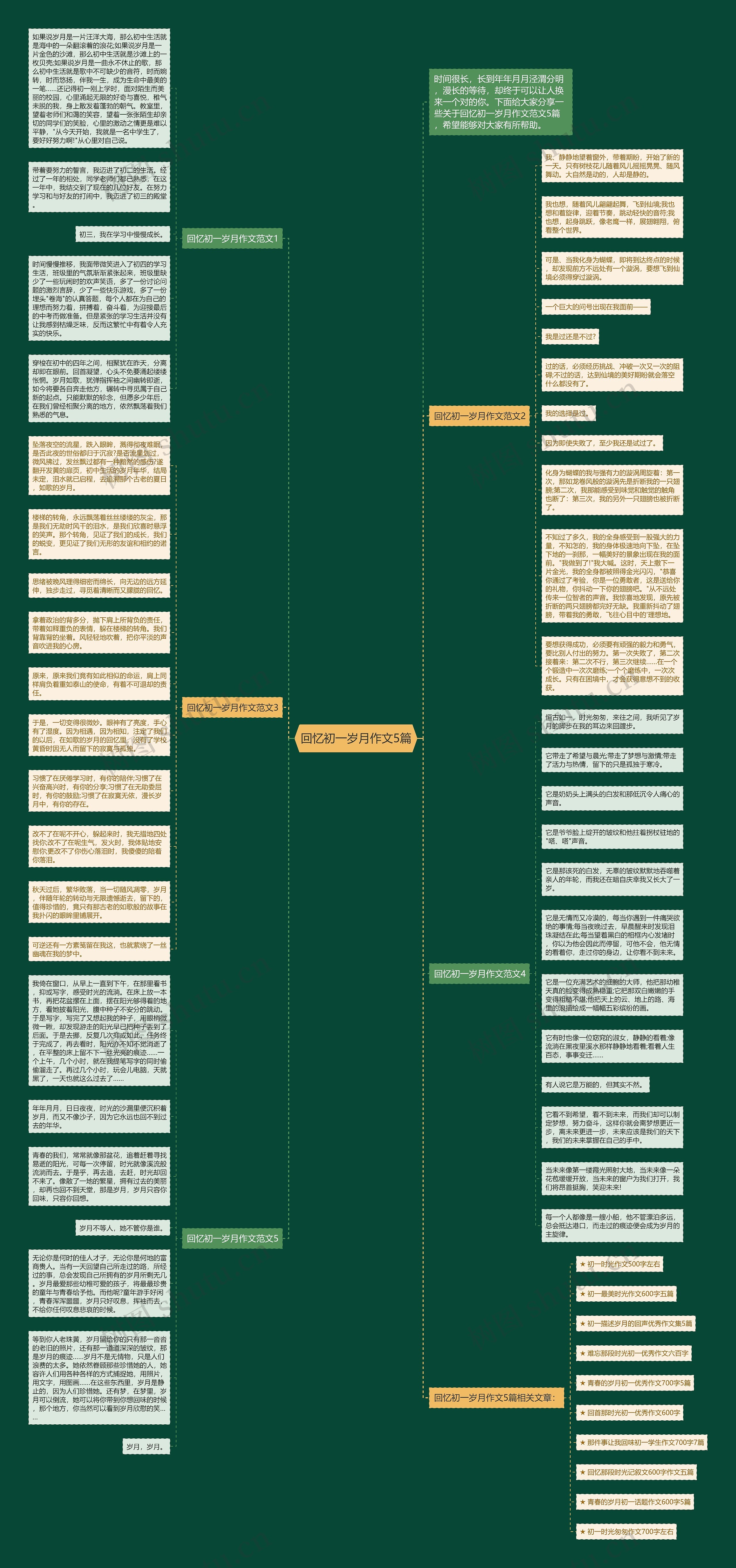 回忆初一岁月作文5篇思维导图