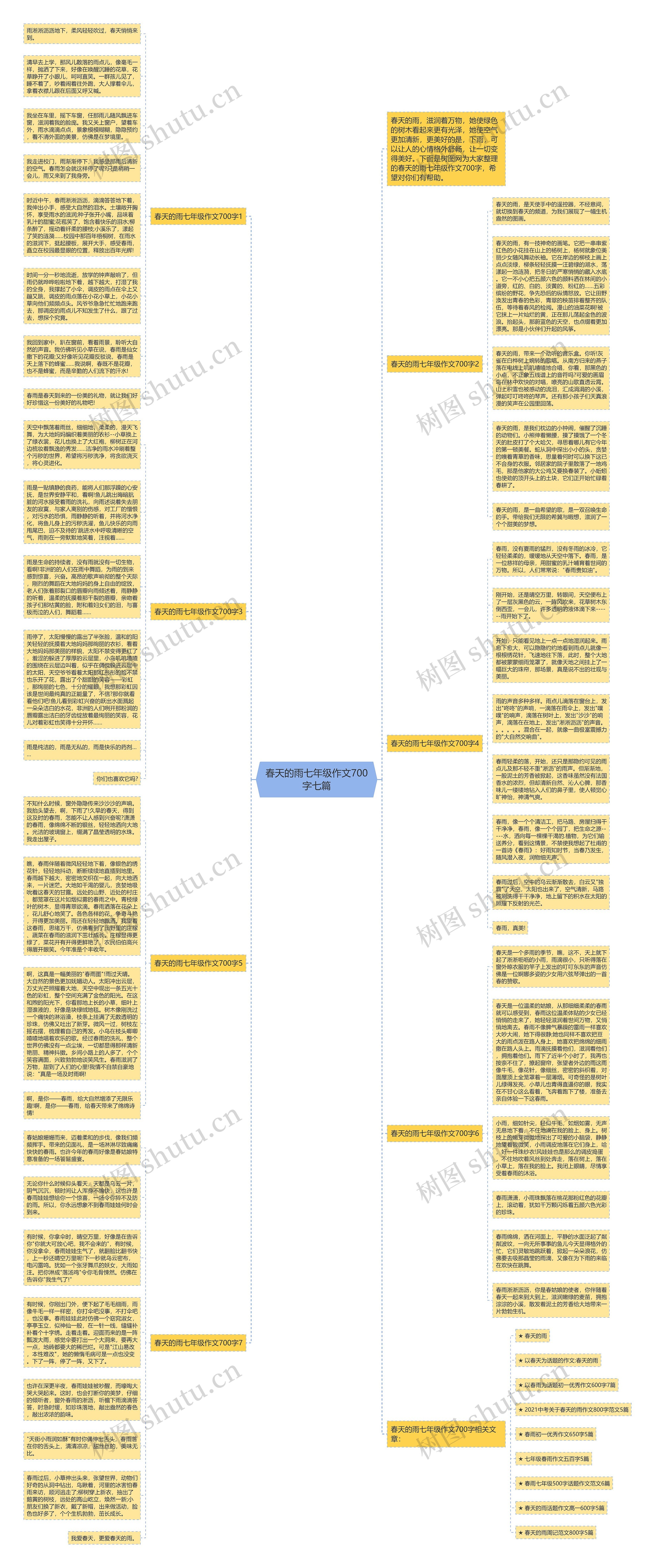 春天的雨七年级作文700字七篇思维导图