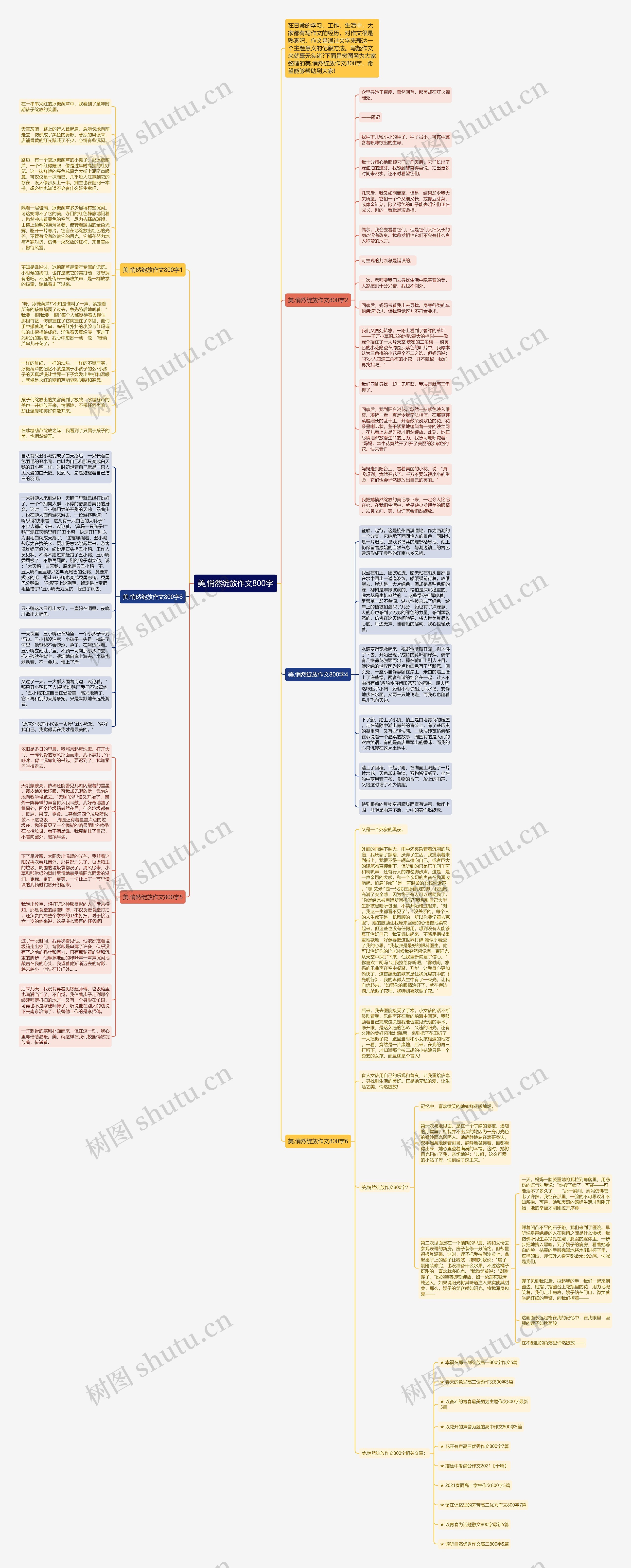 美,悄然绽放作文800字思维导图