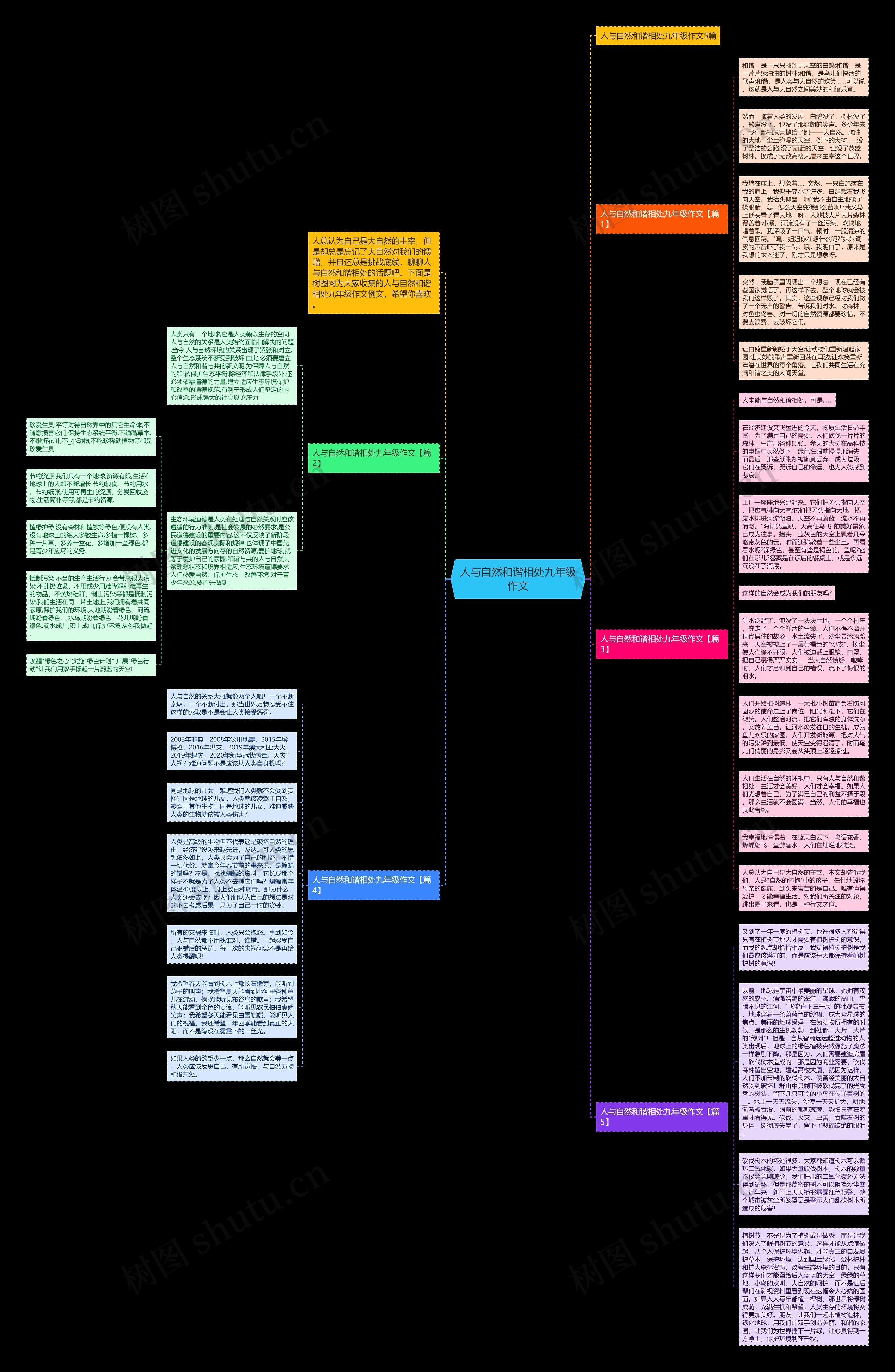人与自然和谐相处九年级作文思维导图
