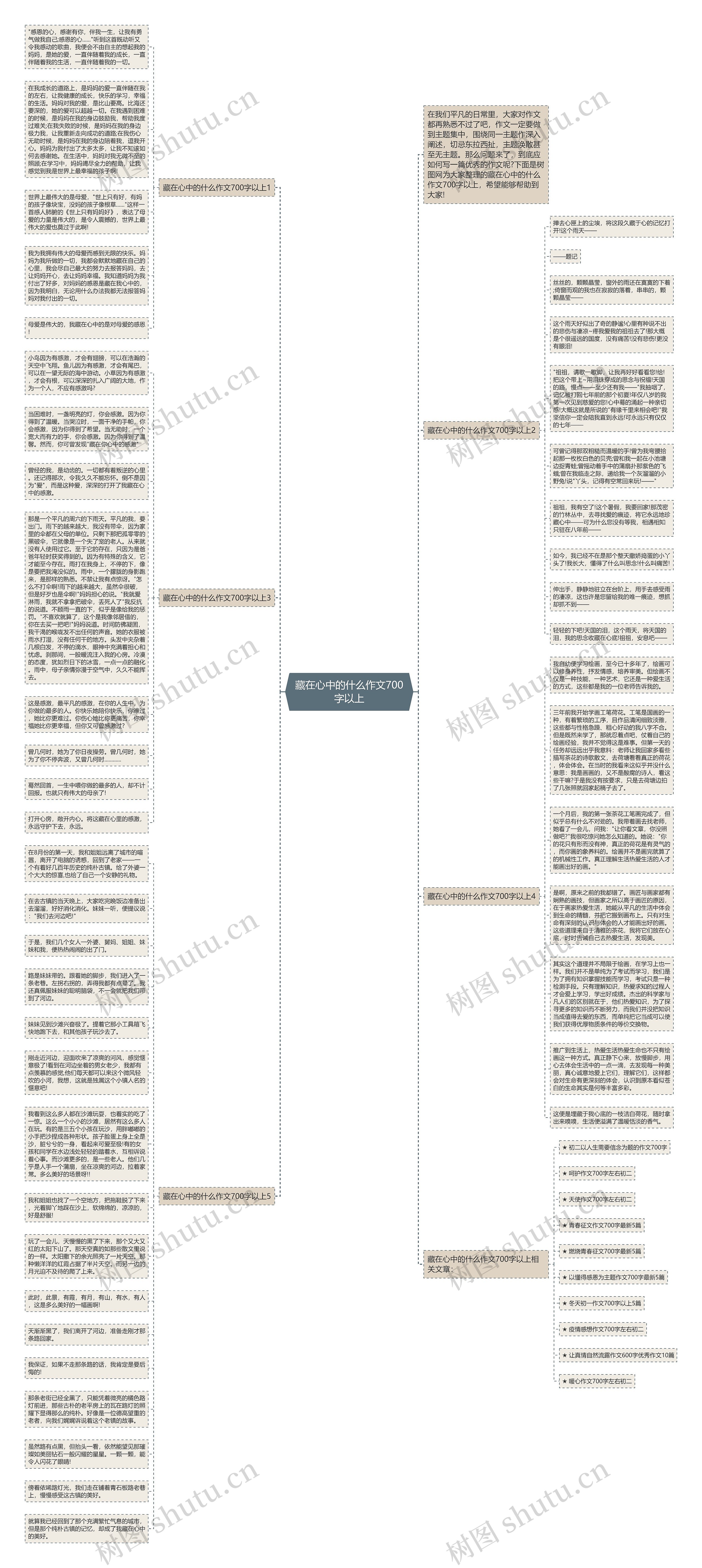 藏在心中的什么作文700字以上思维导图