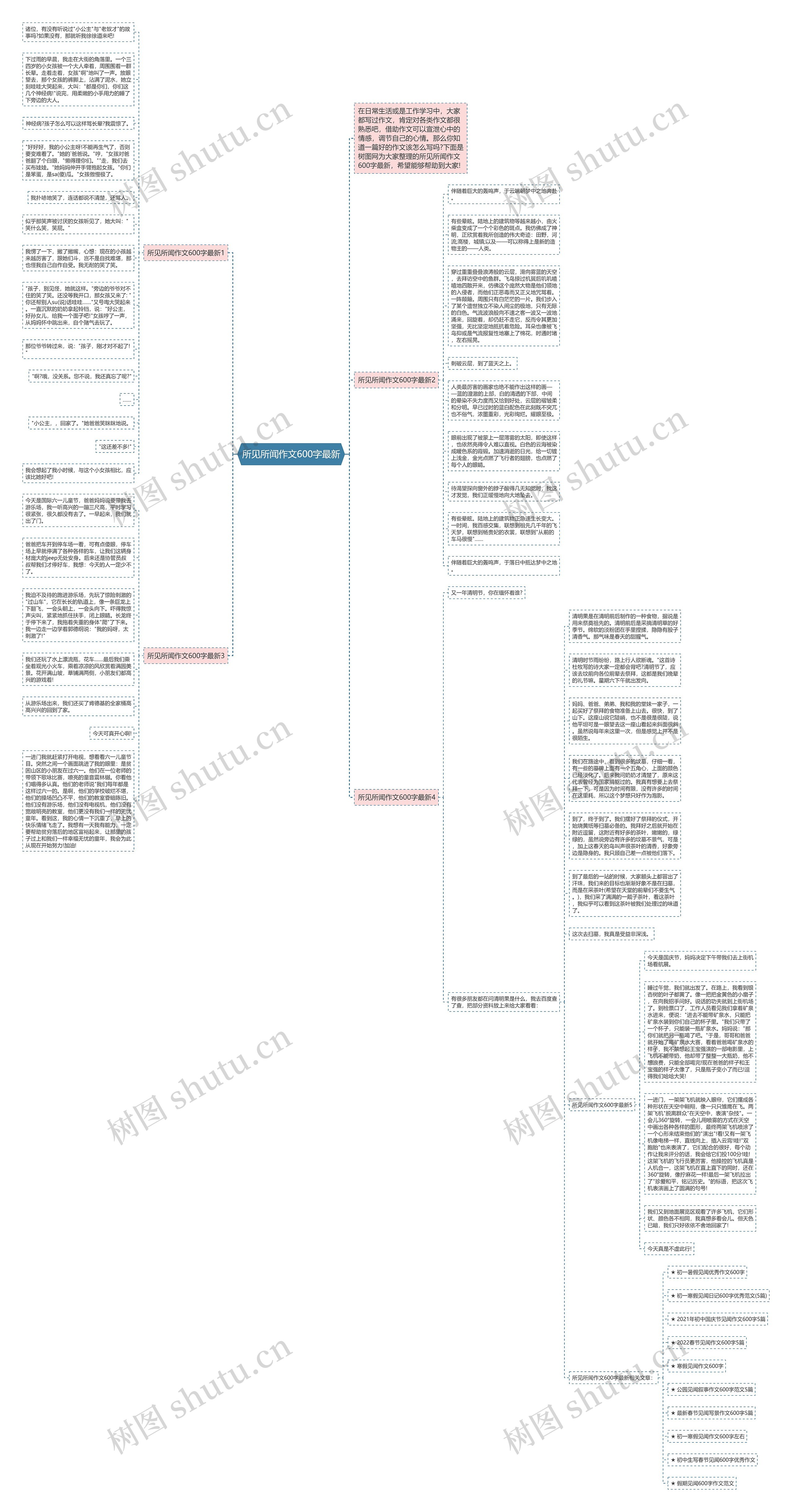 所见所闻作文600字最新思维导图
