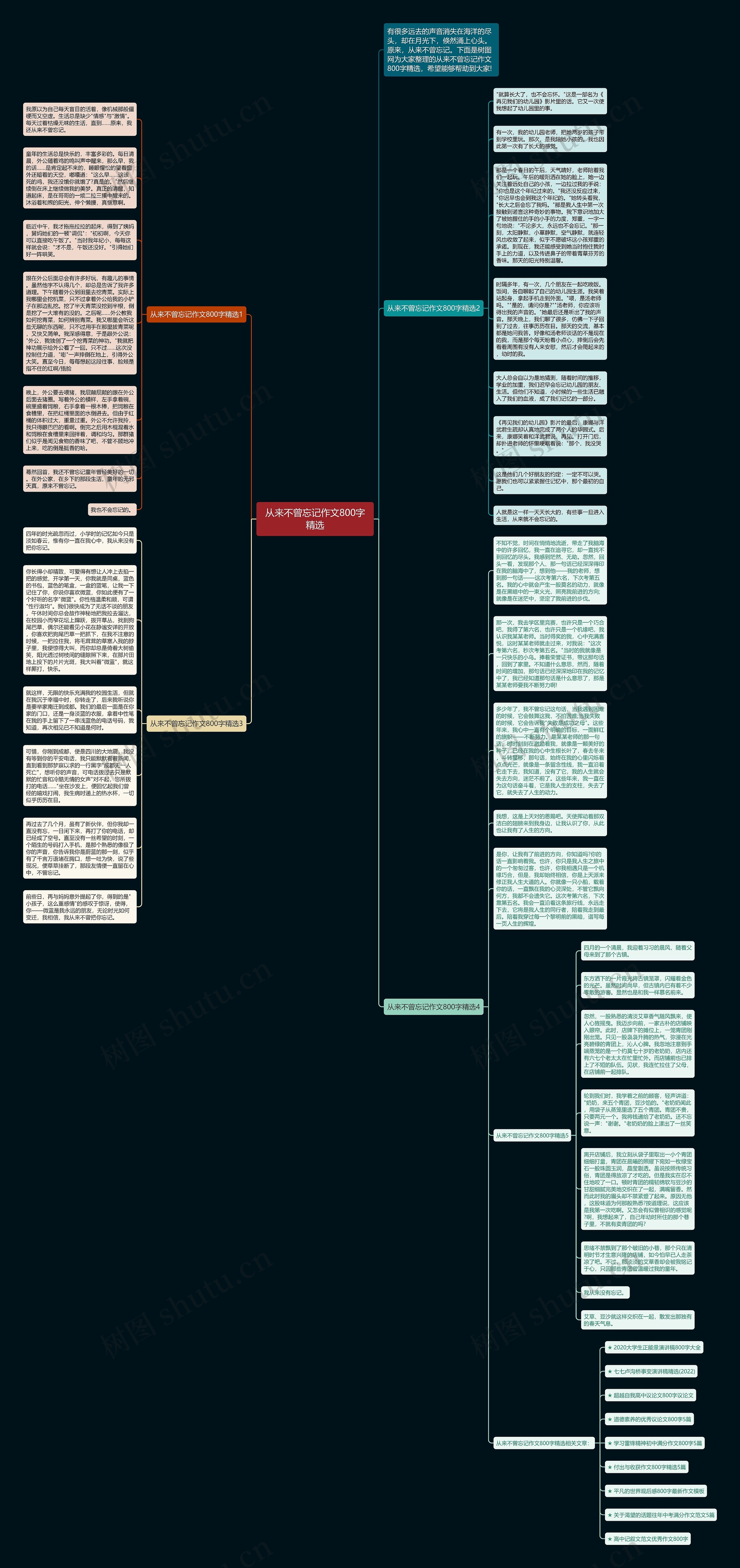 从来不曾忘记作文800字精选思维导图