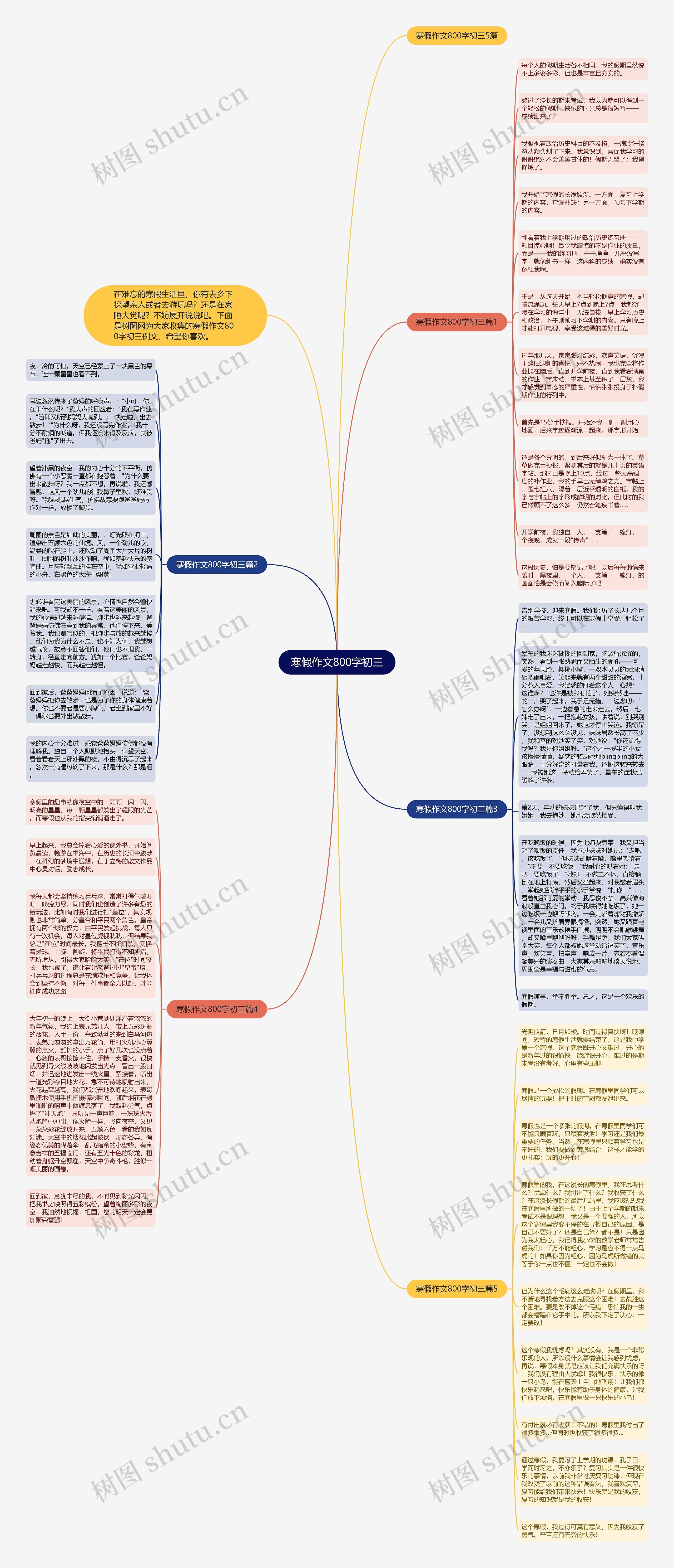 寒假作文800字初三思维导图