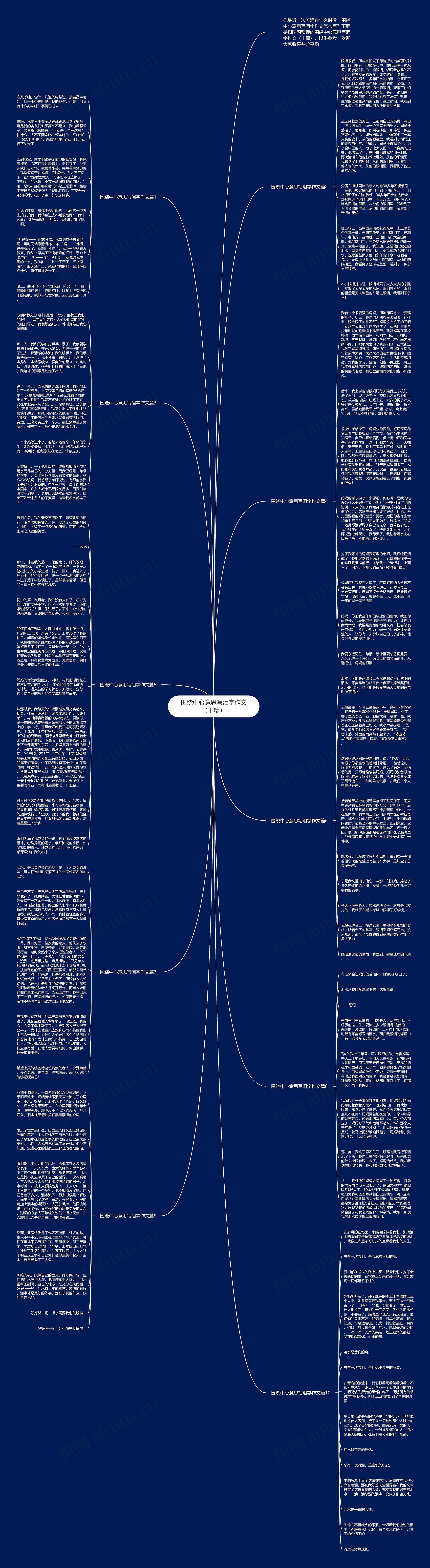 围绕中心意思写泪字作文（十篇）思维导图