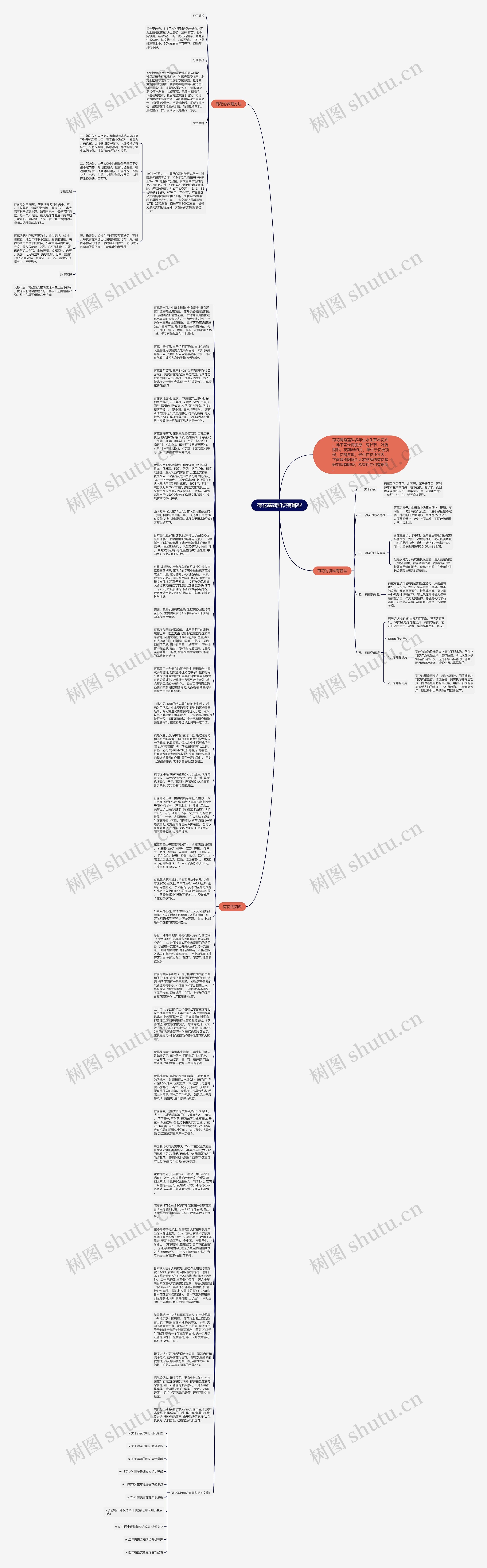 荷花基础知识有哪些思维导图