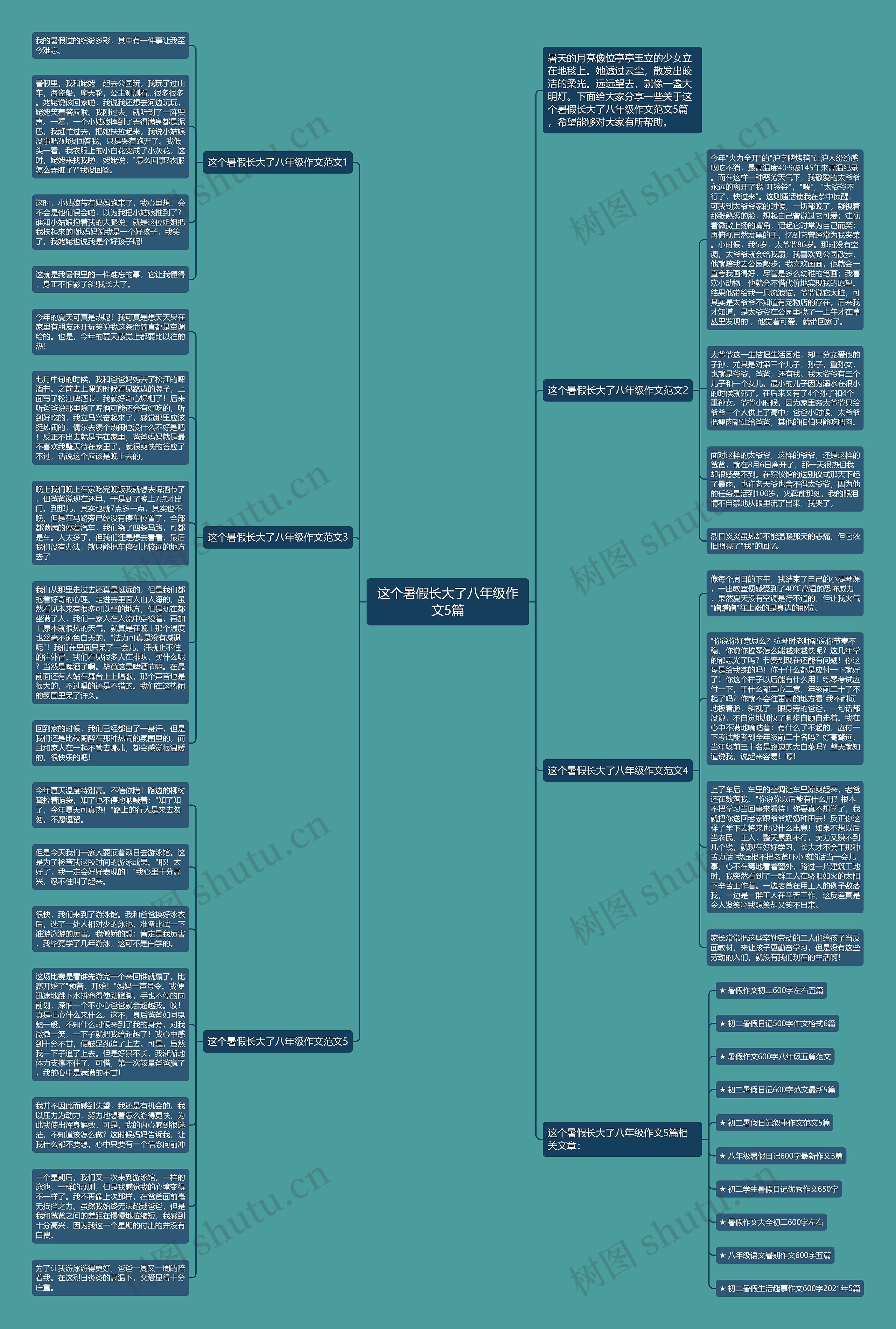 这个暑假长大了八年级作文5篇思维导图