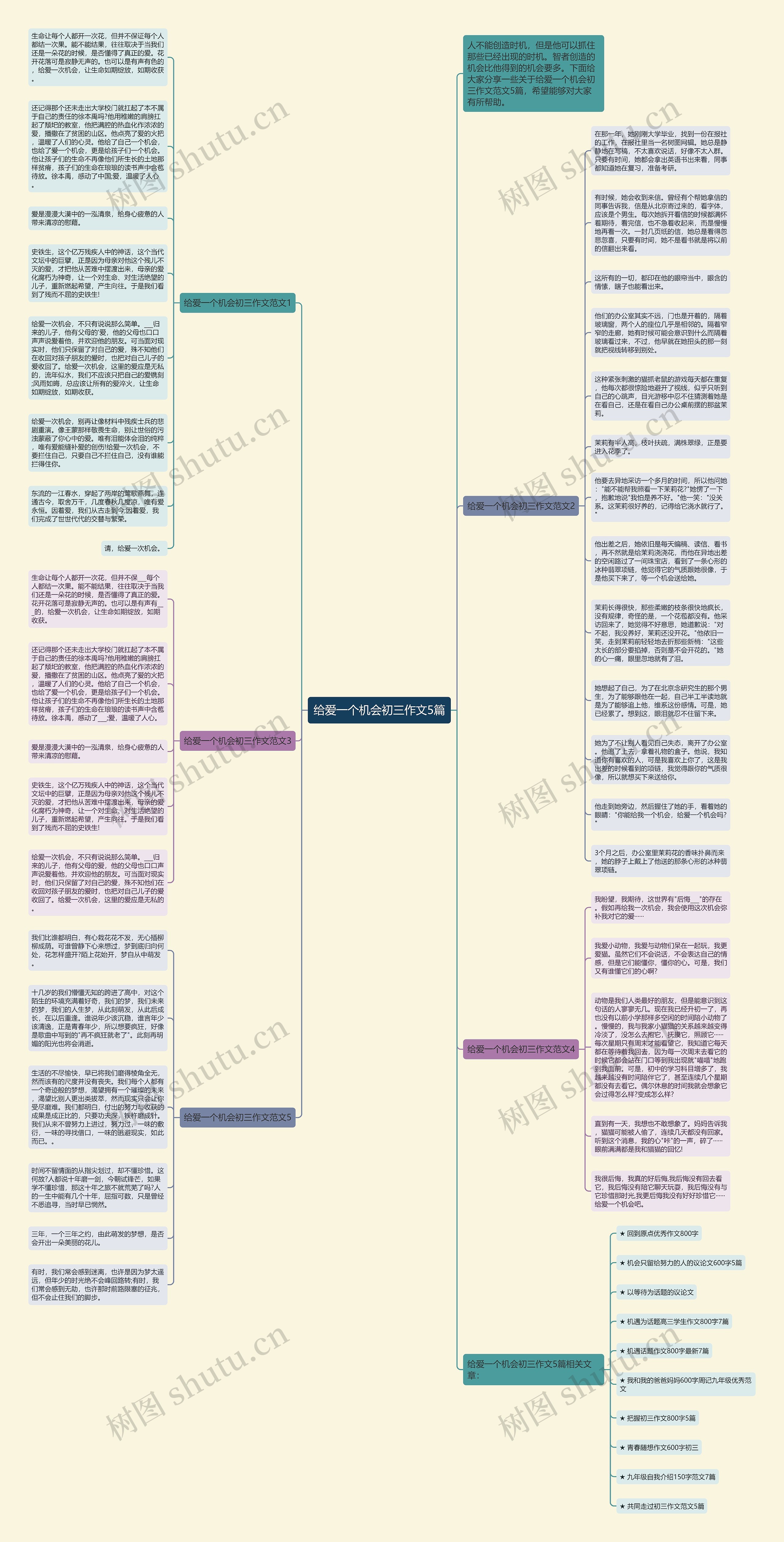 给爱一个机会初三作文5篇思维导图